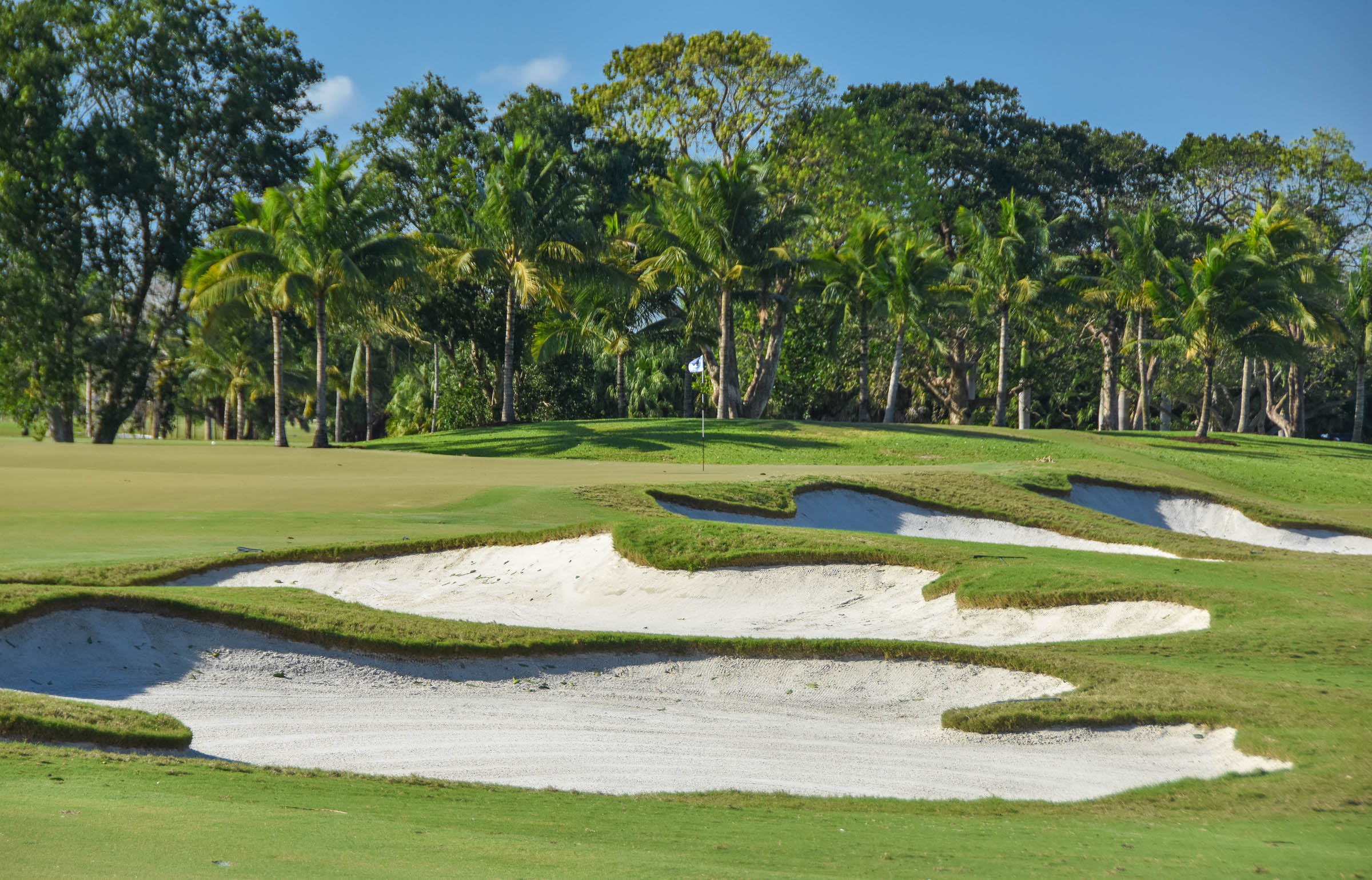 Doral Blue Monster1-32.jpg