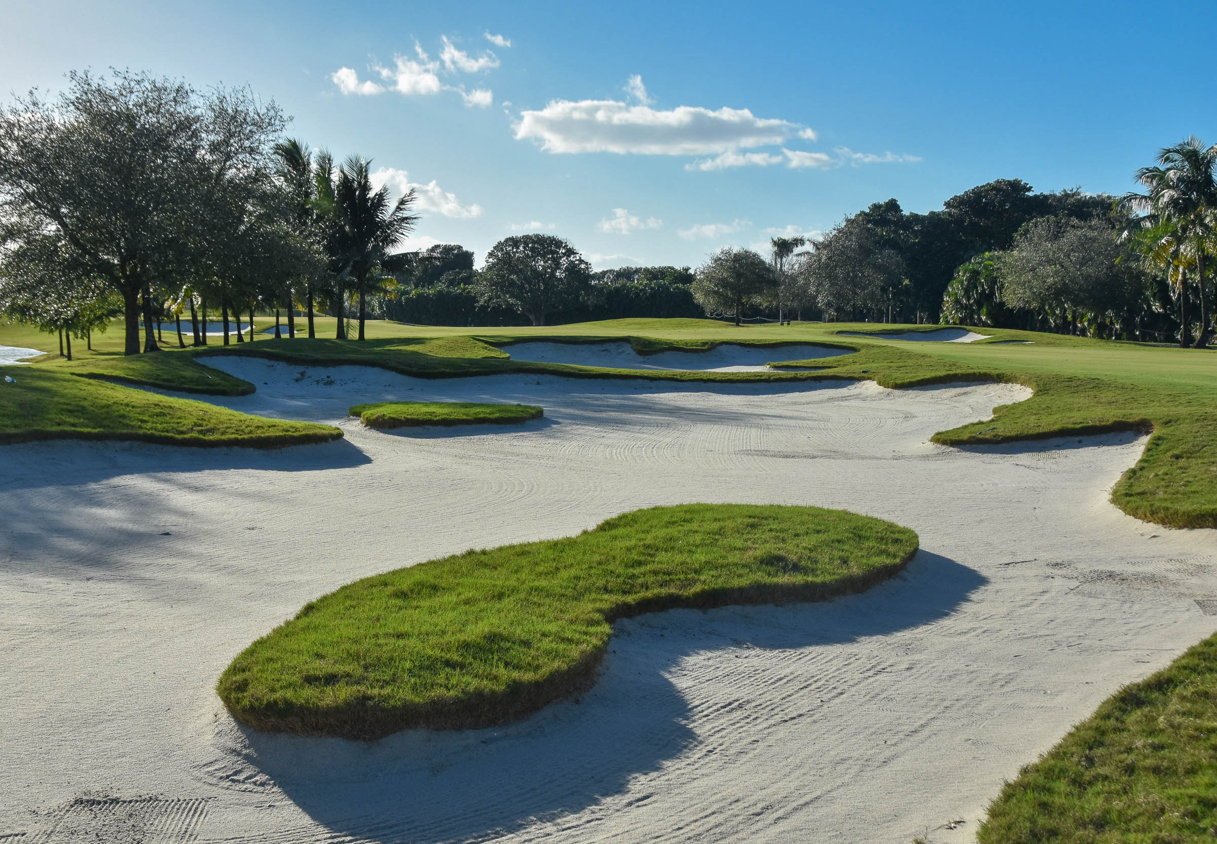 Doral Blue Monster1-41.jpg