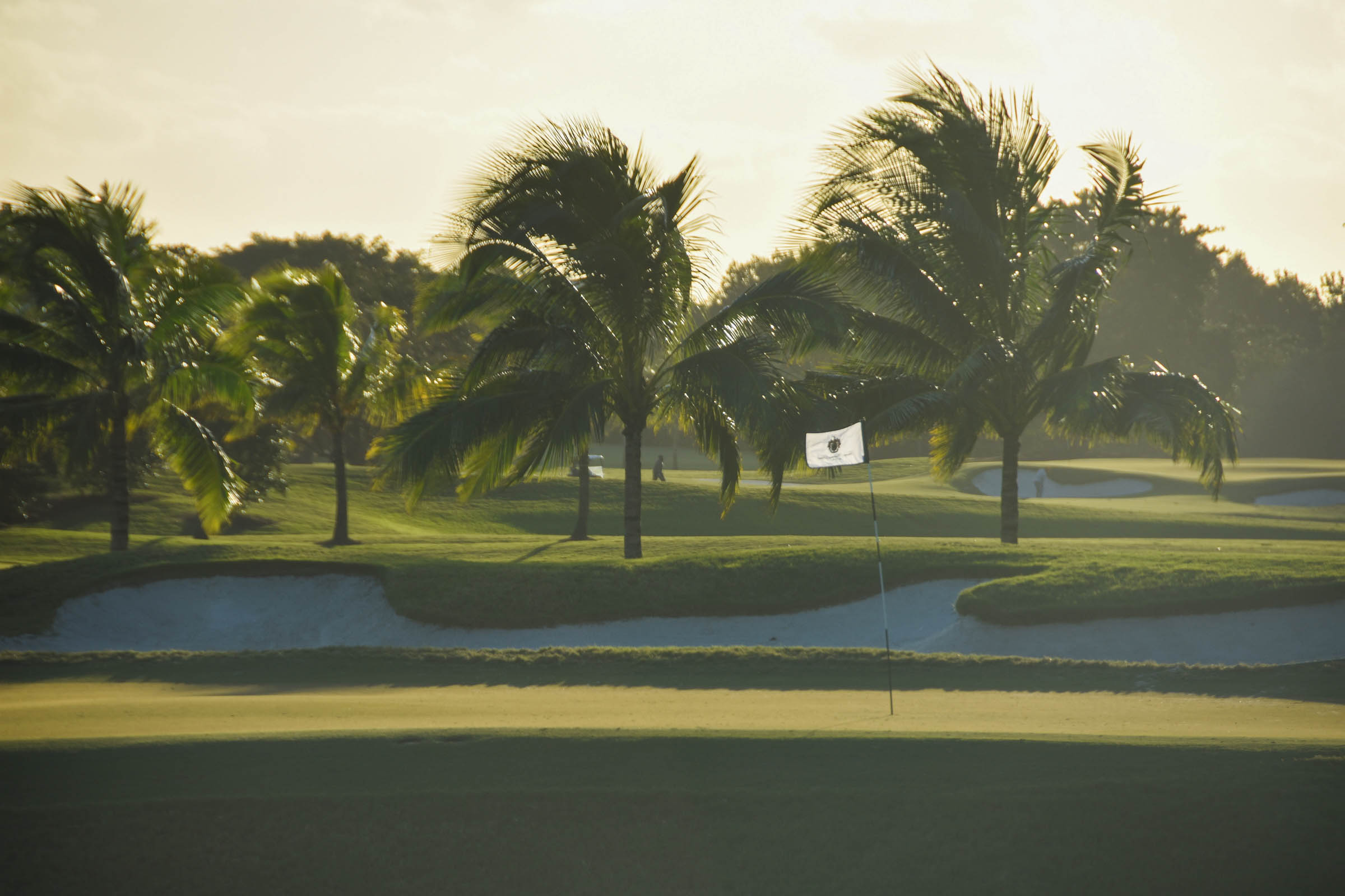 Doral Blue Monster1-57.jpg