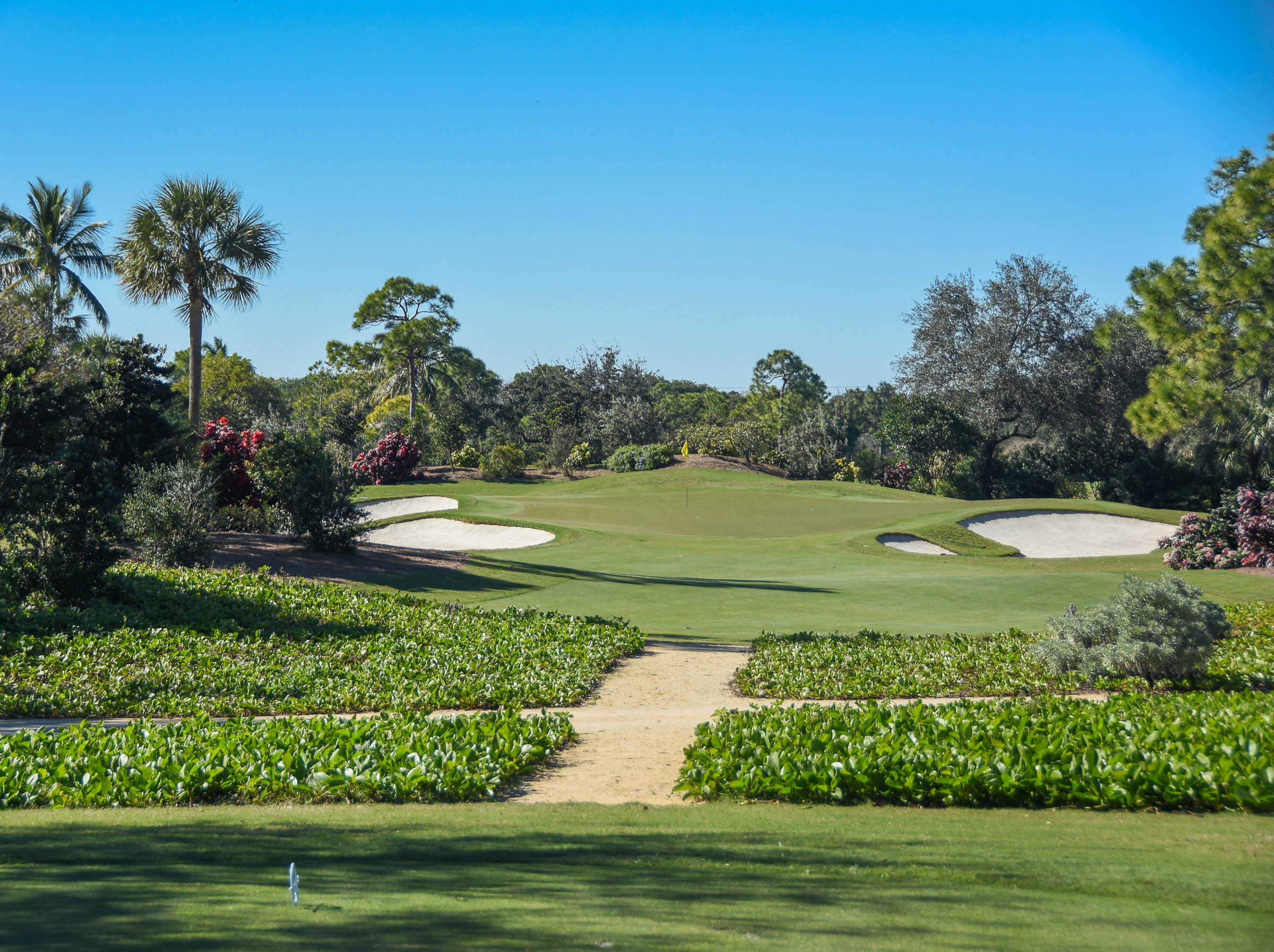 Adios Golf Club1-28.jpg