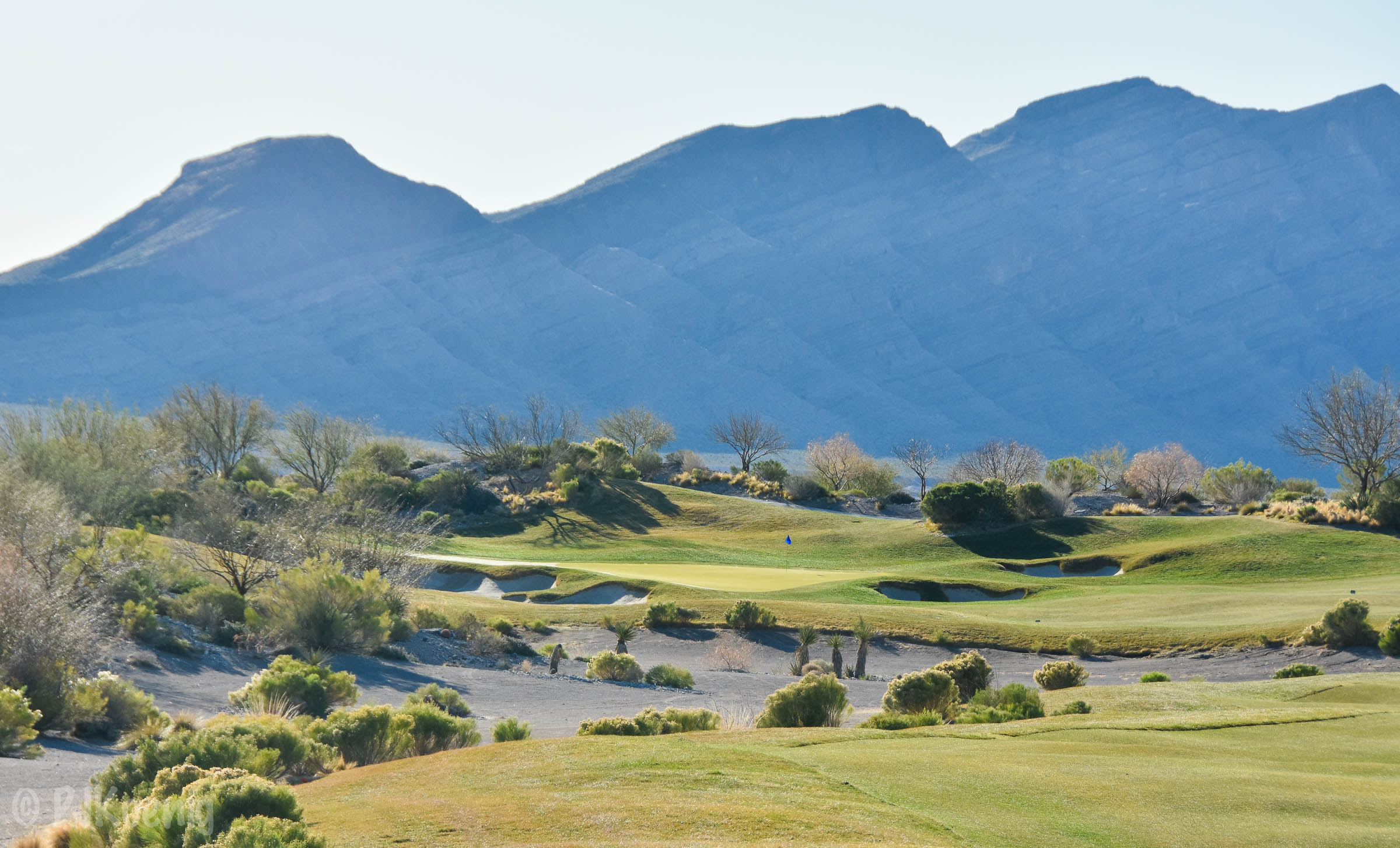 Coyote Springs1-2.jpg