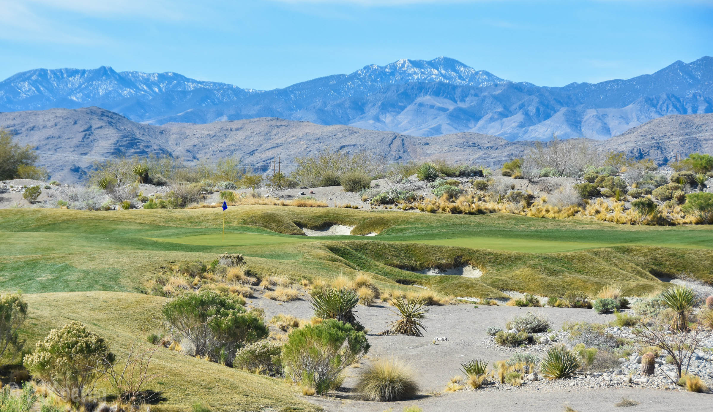 Coyote Springs1-60.jpg