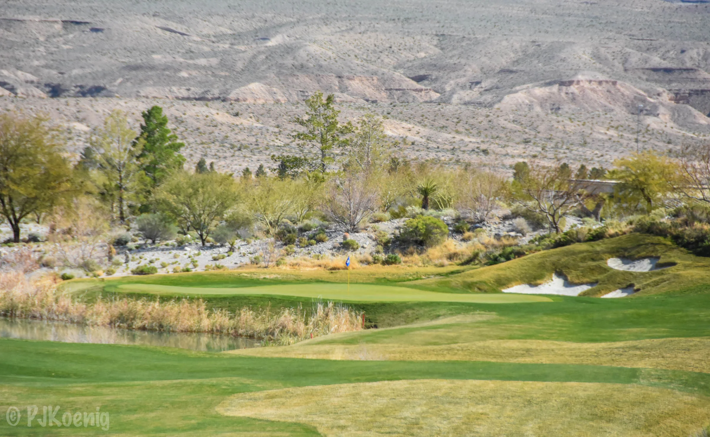 Coyote Springs1-77.jpg