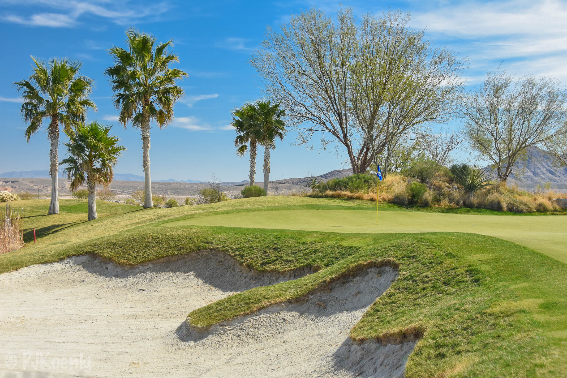 Coyote Springs1-96.jpg