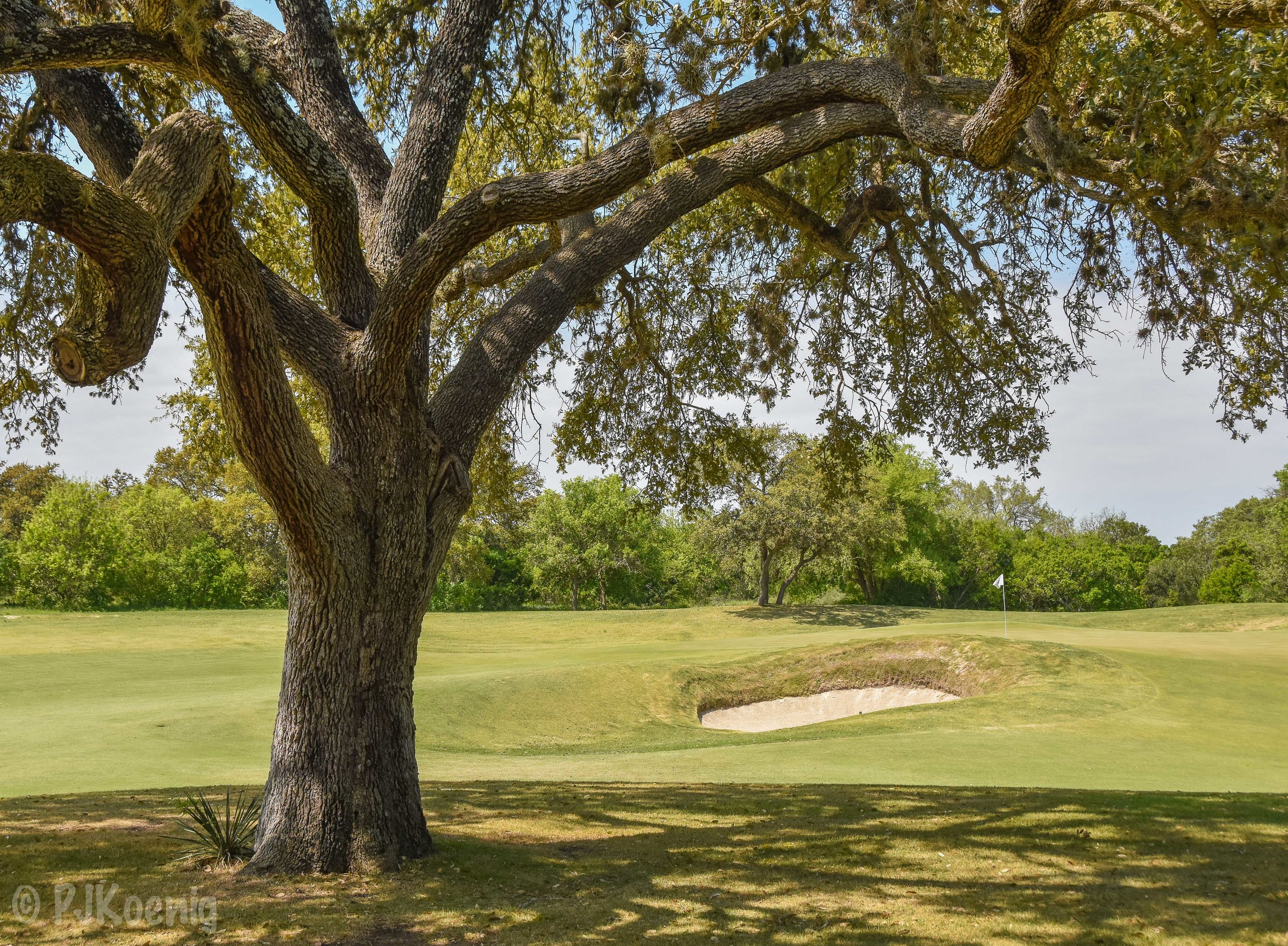 Briggs Ranch1-37.jpg