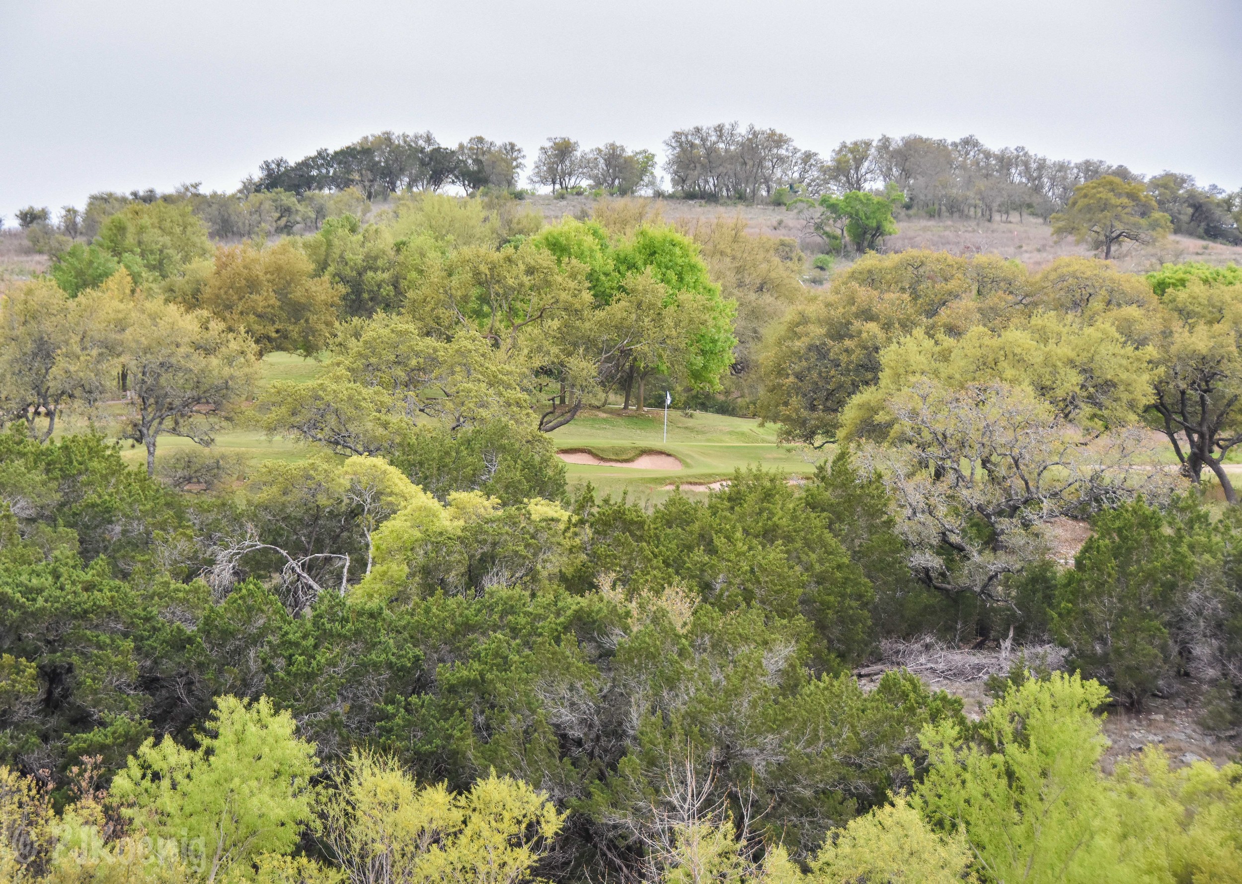 Spanish Oaks1-80.jpg