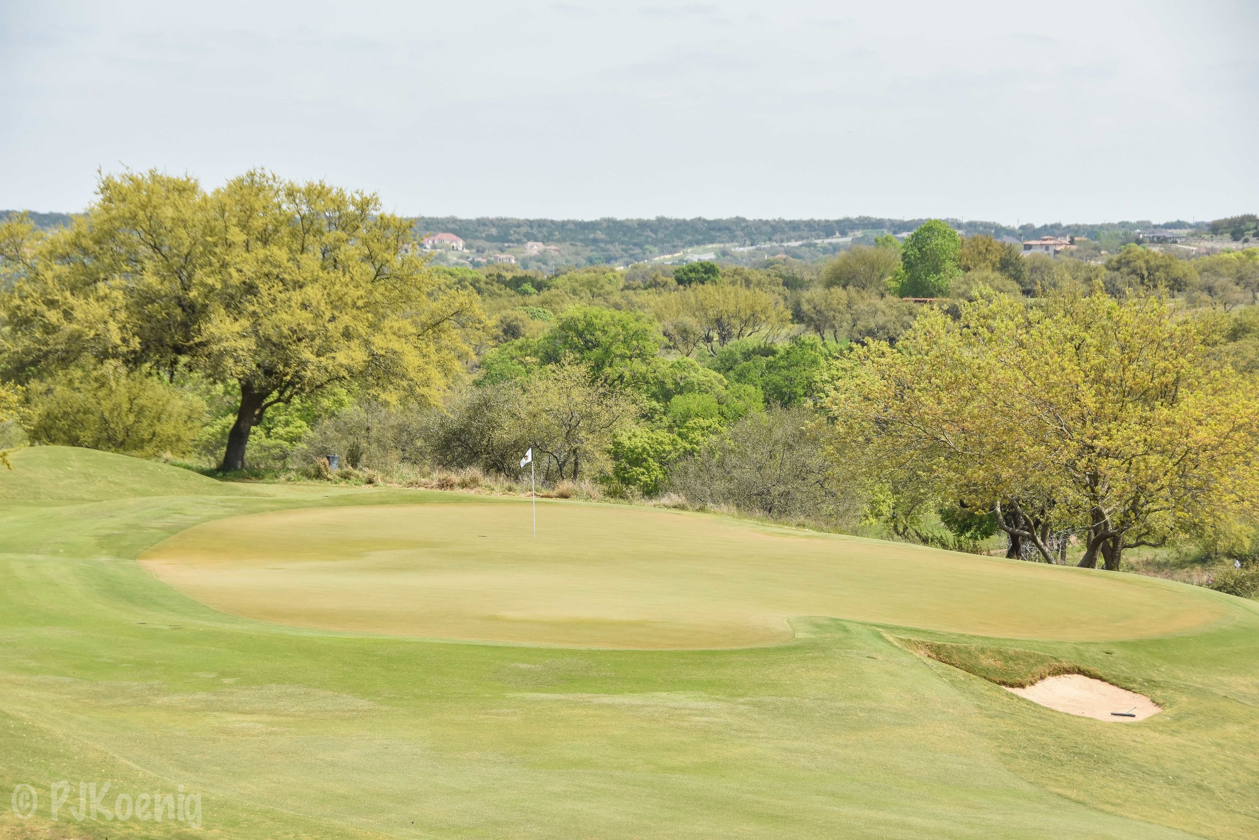 Spanish Oaks1.jpg
