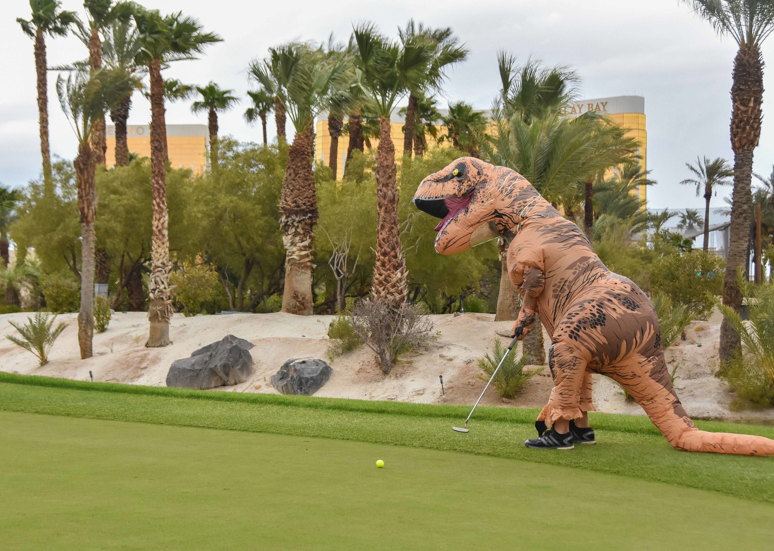 T Rex rolls one in for par.