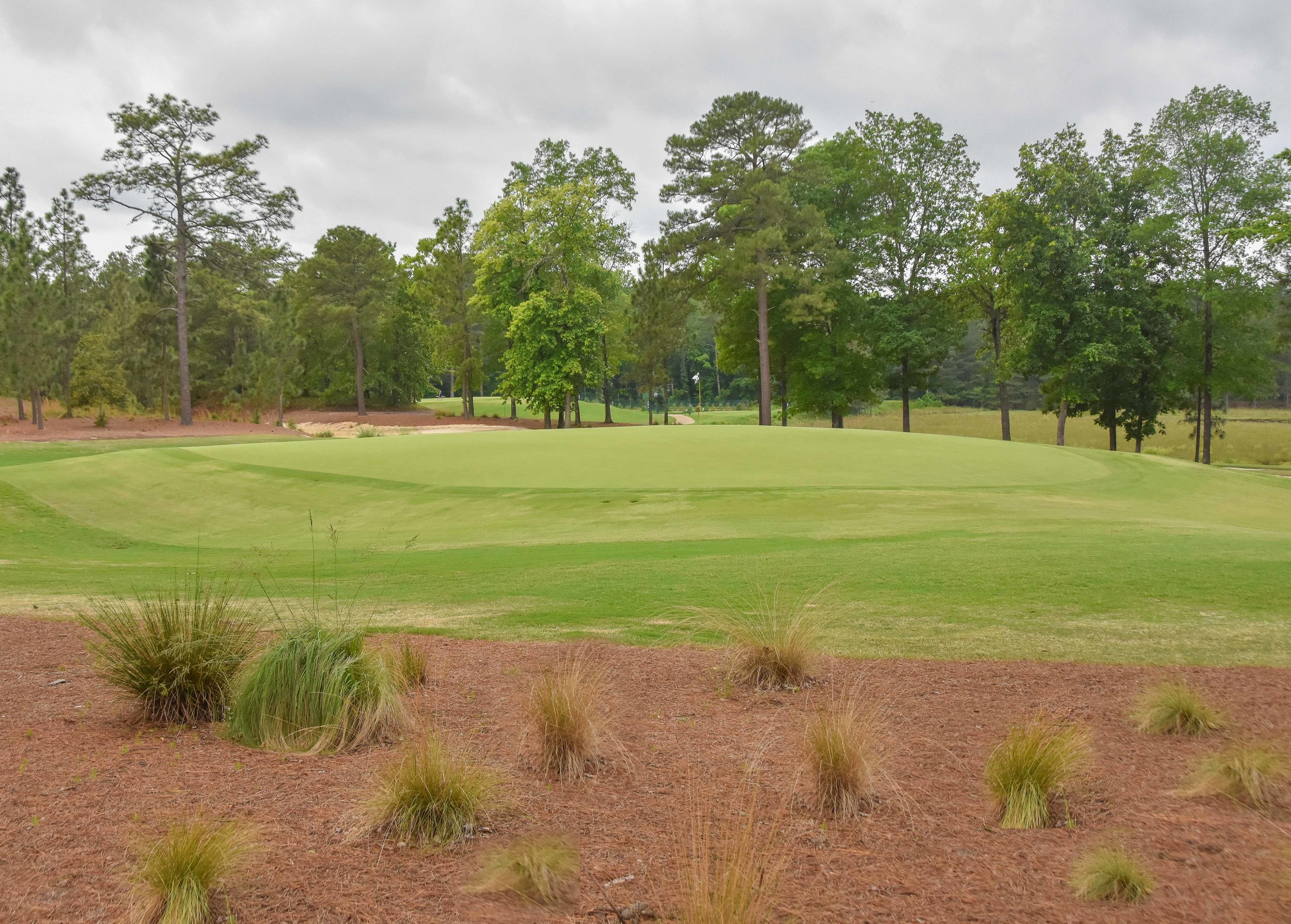 Pinehurst No. 81-20.jpg