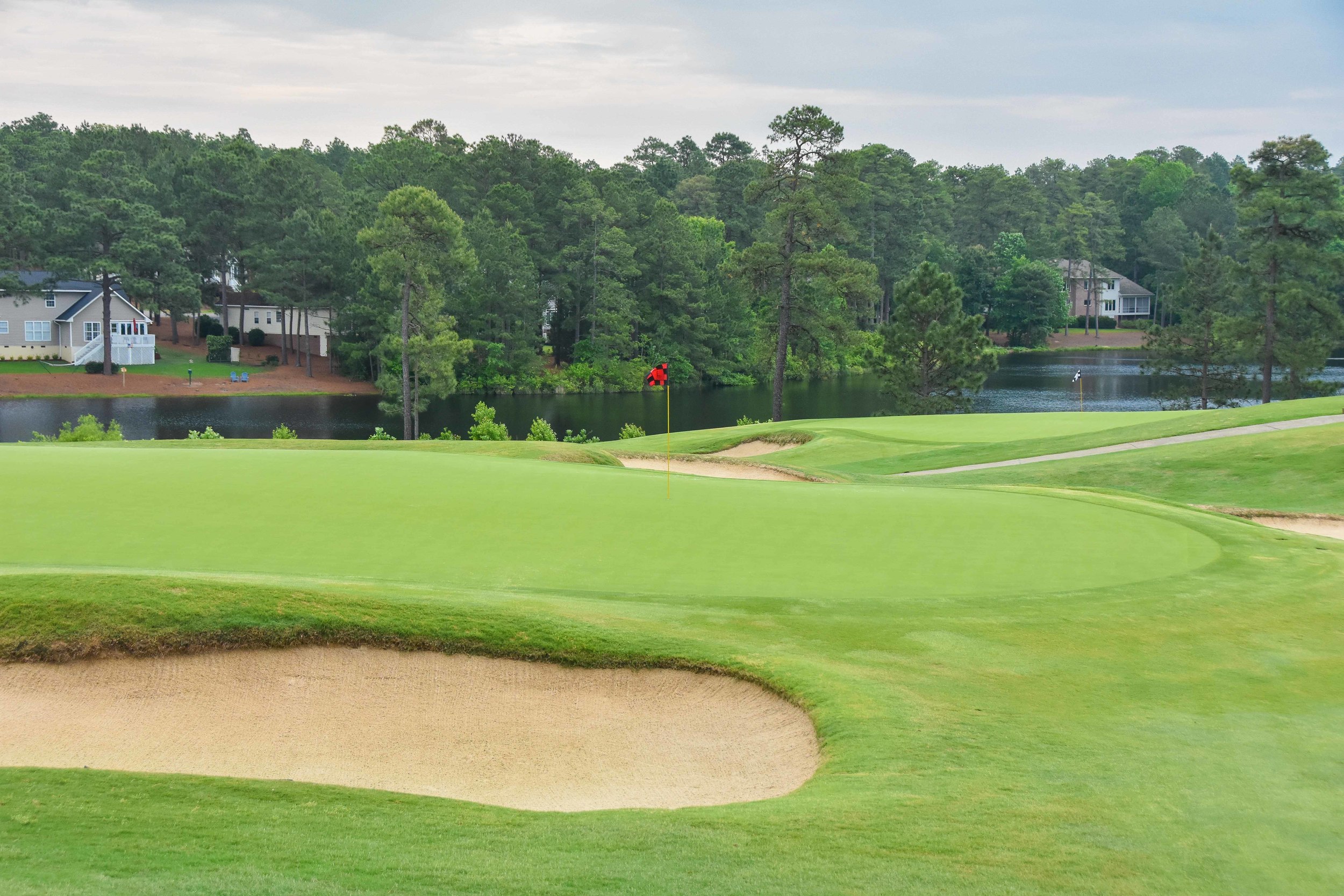 Pinehurst No. 81-6 (1).jpg