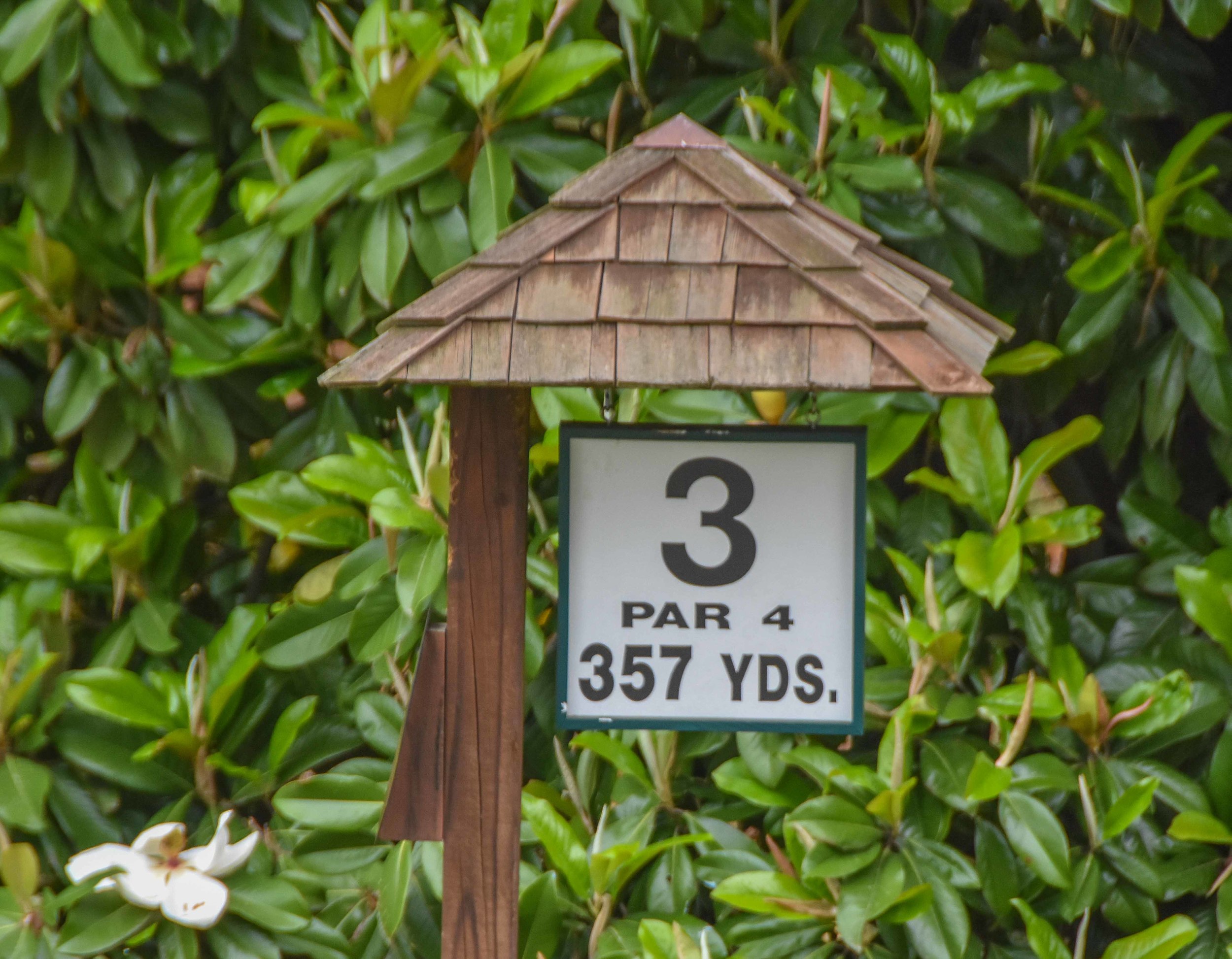 Pinehurst No. 81-4.jpg