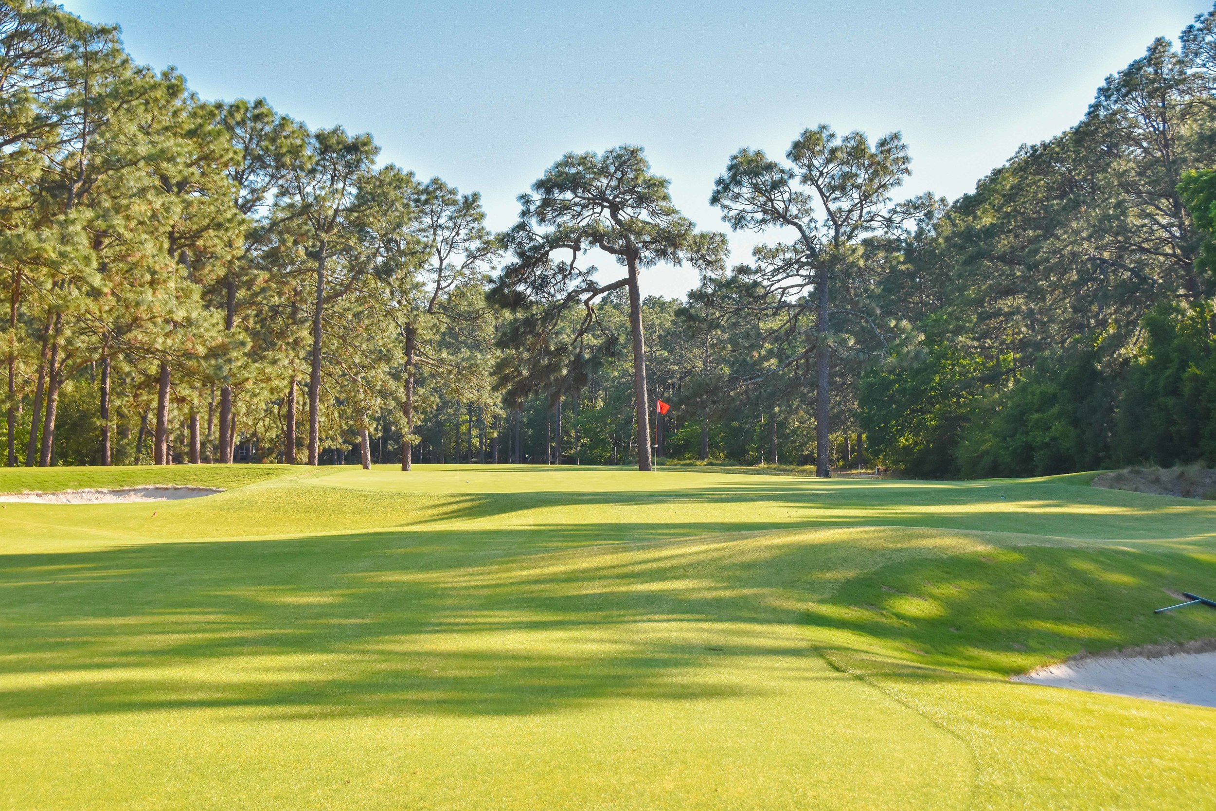 Pine Needles1-29.jpg