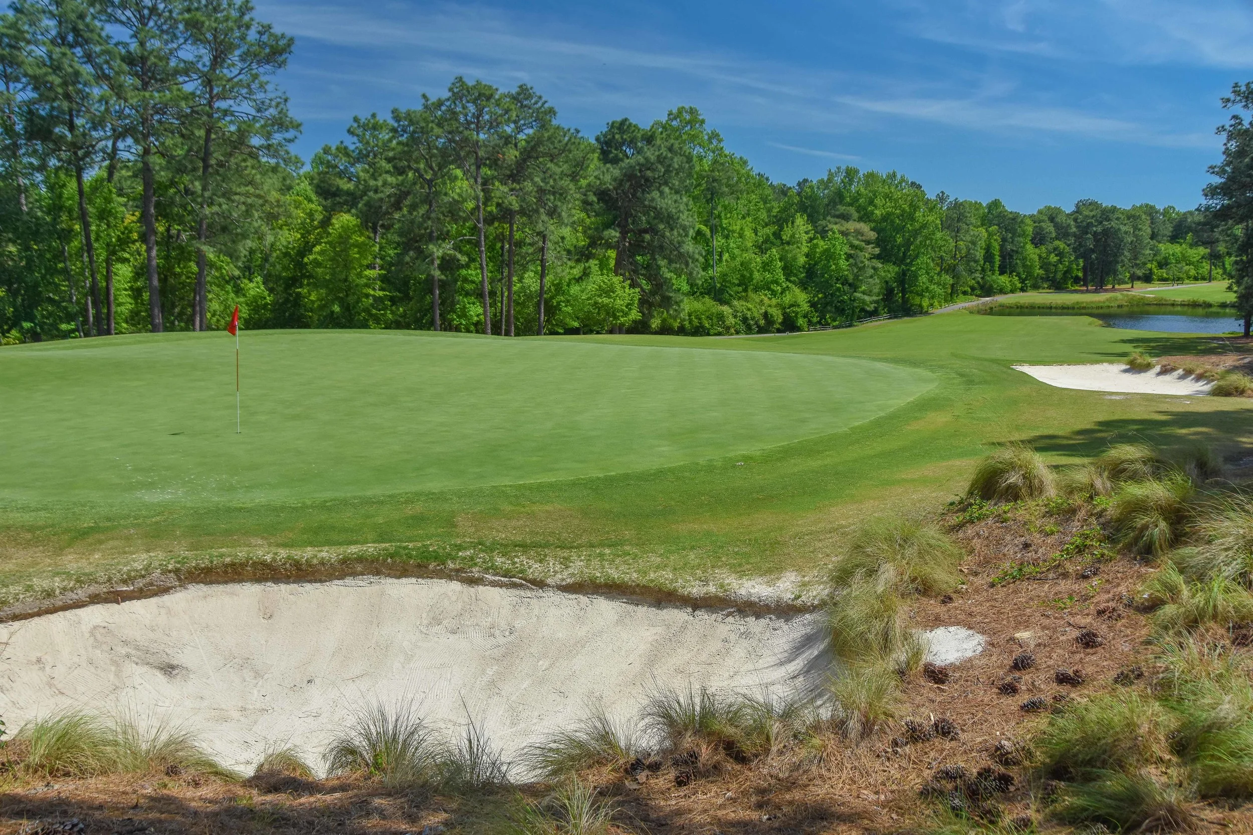 Pine Needles1-10.jpg