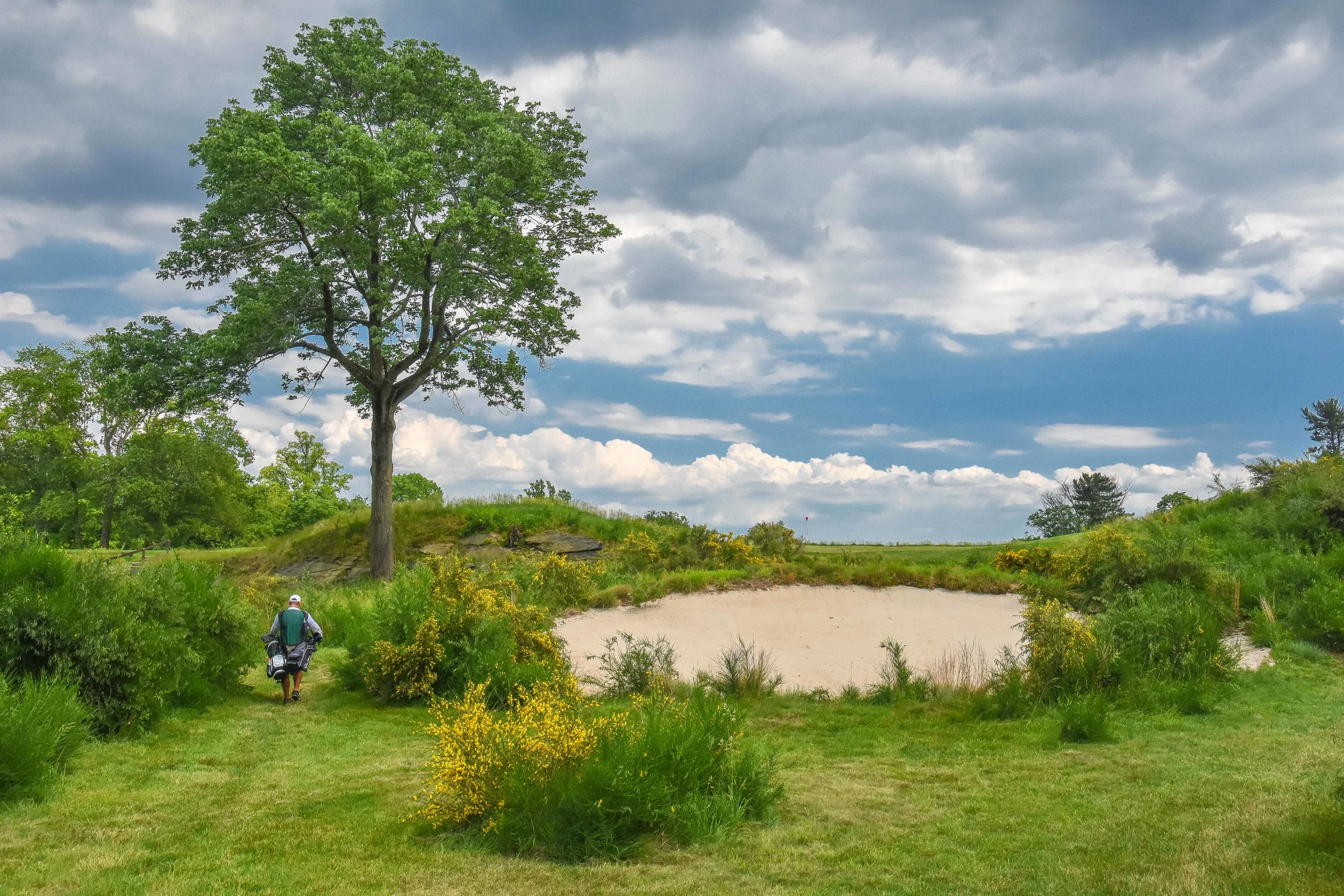 Merion - East Course1-94.jpg