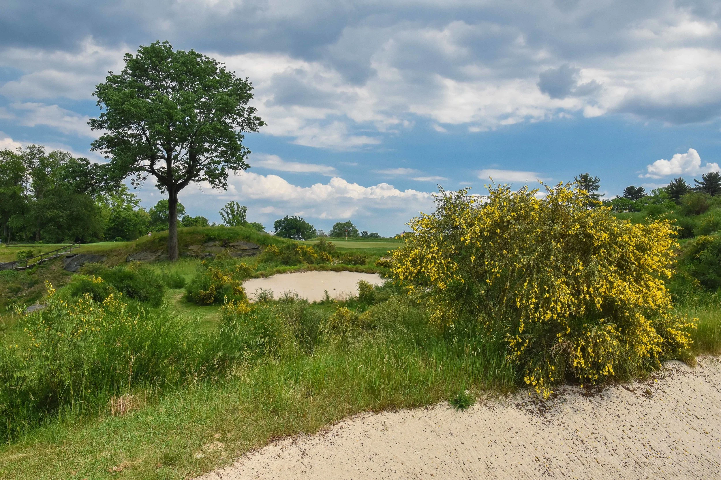 Merion - East Course1-92.jpg
