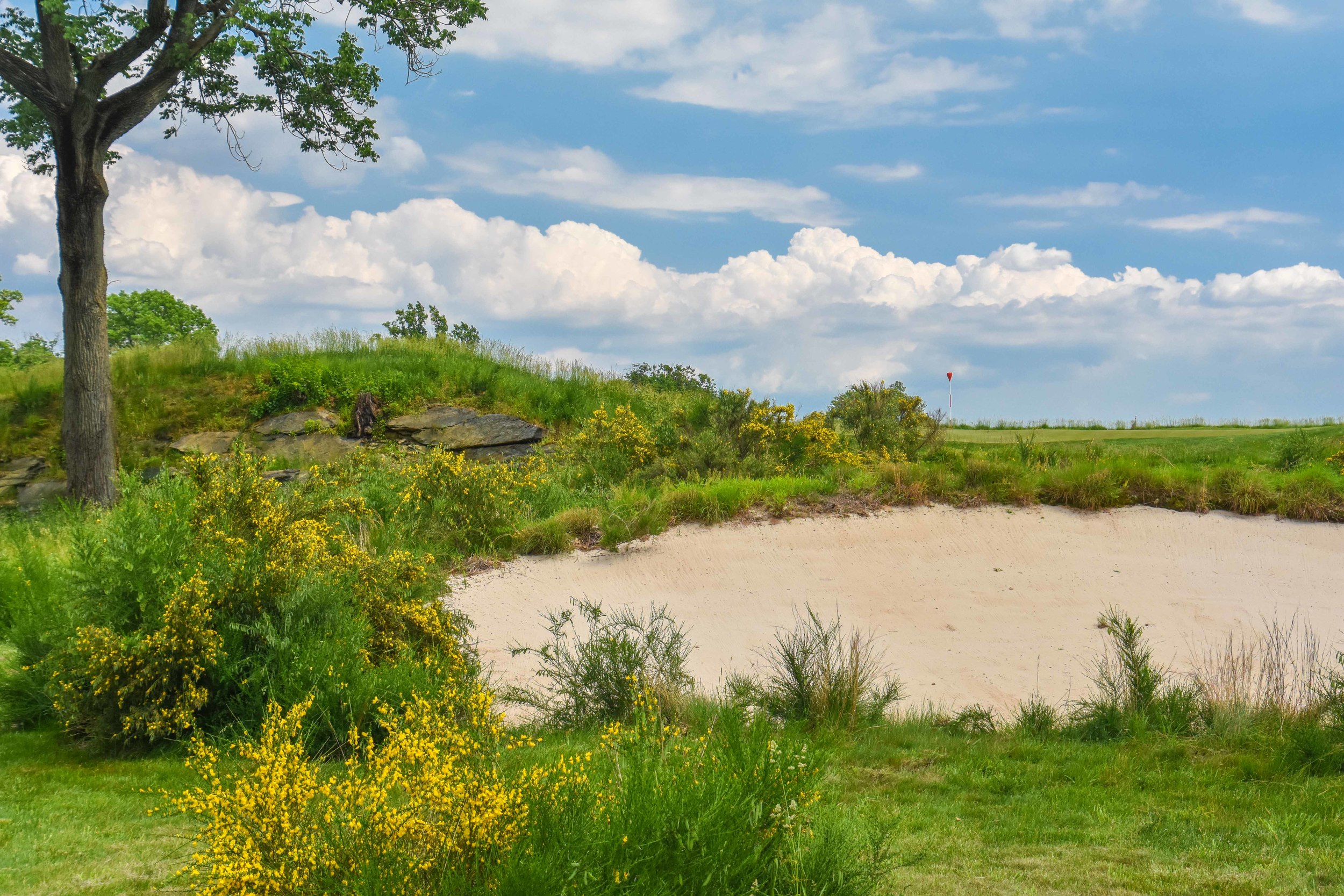 Merion - East Course1-97.jpg