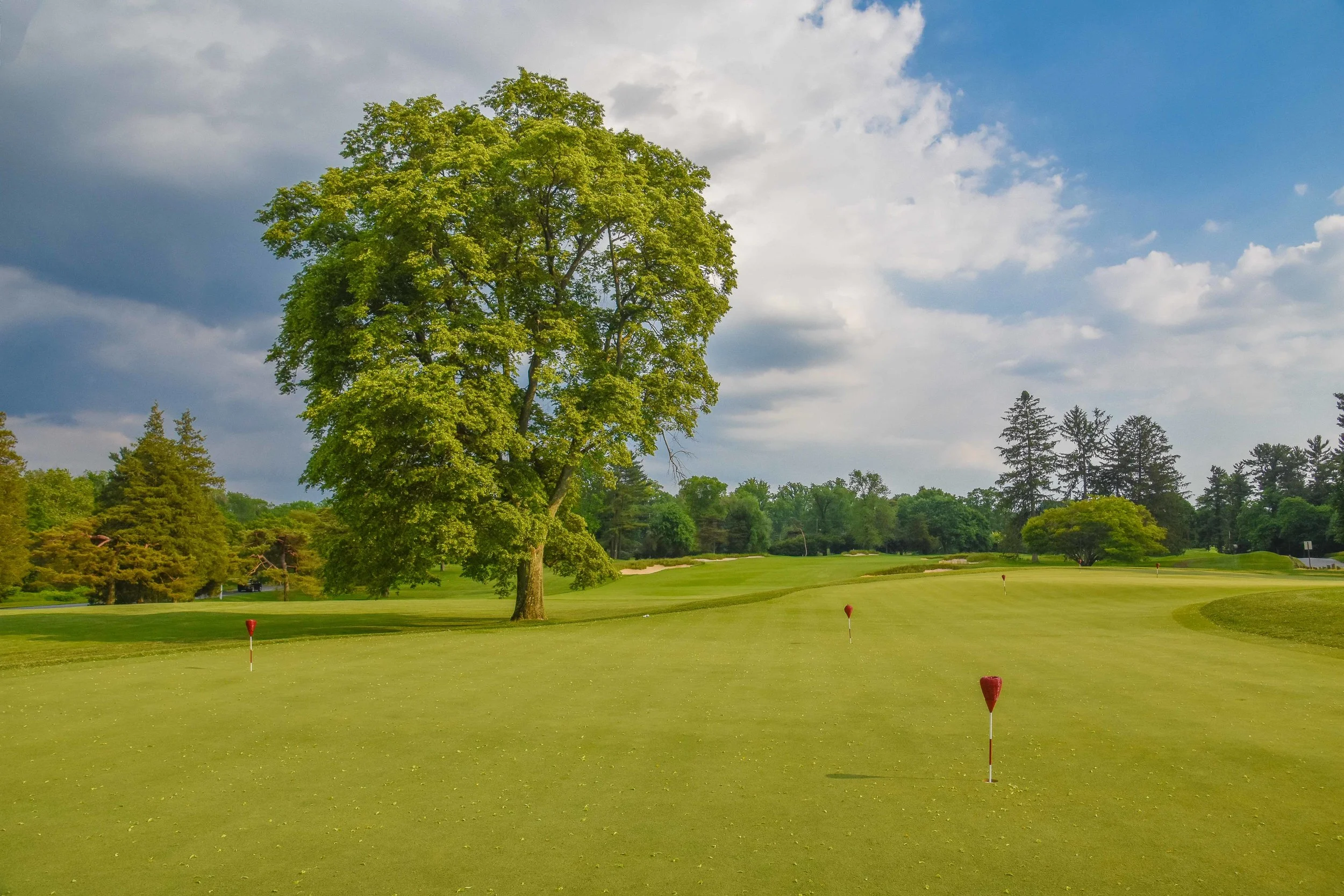 Merion - East Course1-112.jpg