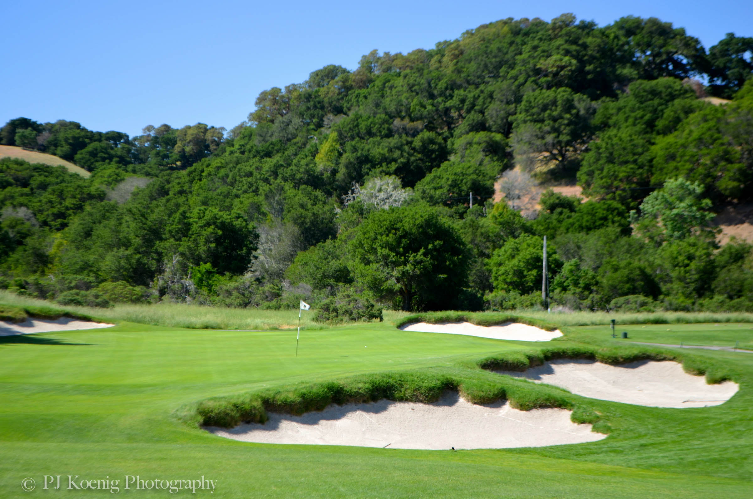 Allister Mackenzie's Meadow Club in Fairfax, CA