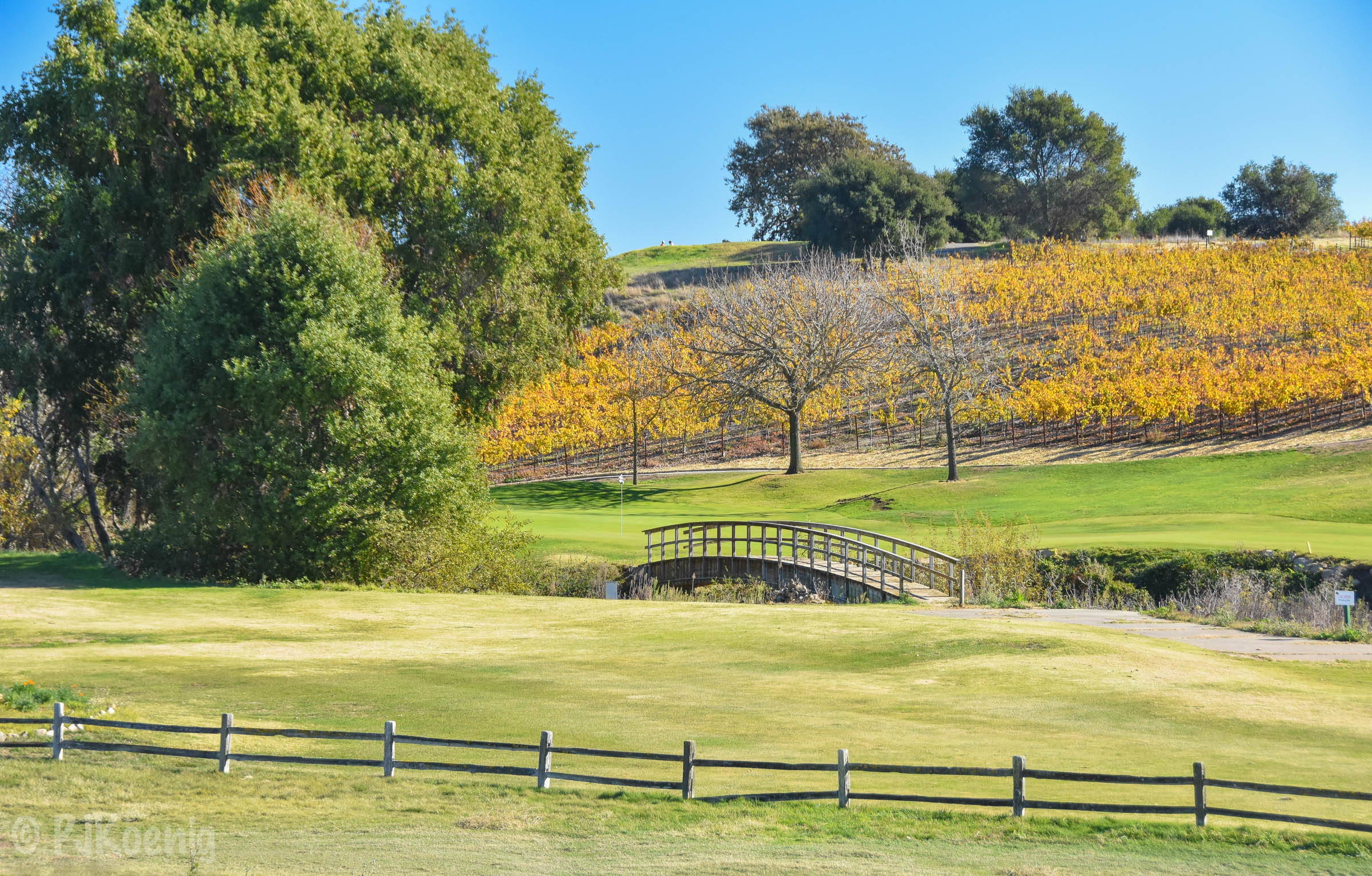 Chardonnay Golf Club1-3.jpg