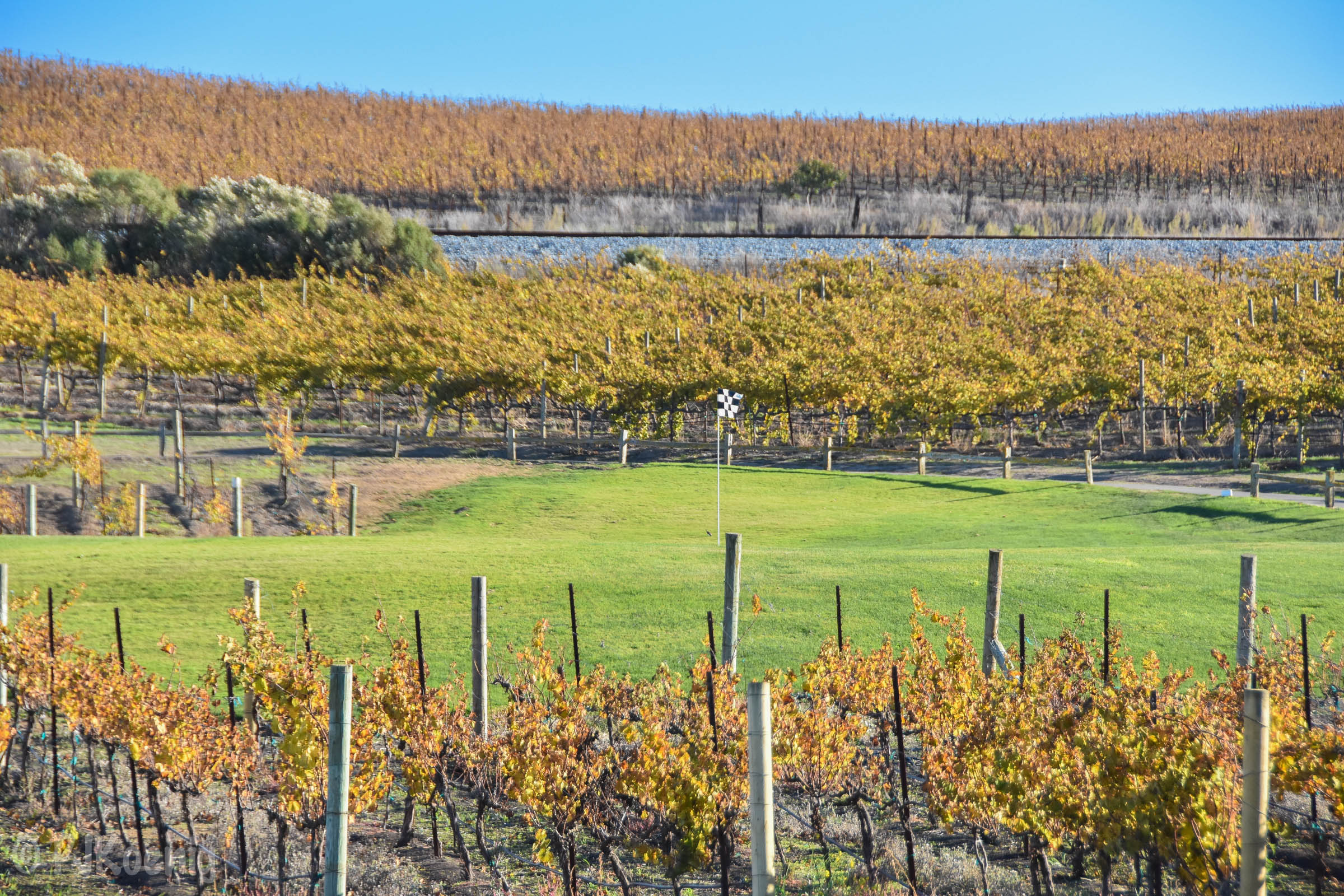 Chardonnay Golf Club1-11.jpg