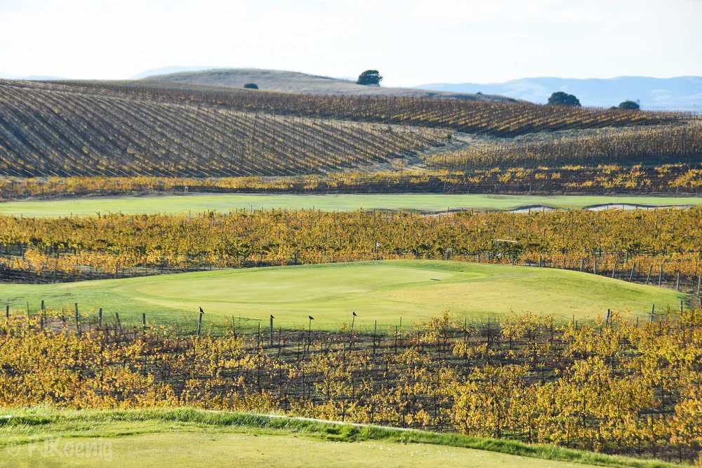 chardonnay golf club dress code CHARDONNAY GOLF CLUB - Updated July 2026 - 319 Photos & 227 Reviews - 2555  Jameson Canyon Rd, American Canyon, California - Golf - Phone Number -  Classes