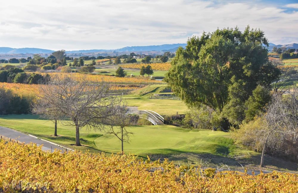 chardonnay golf club dress code Chardonnay Golf Club