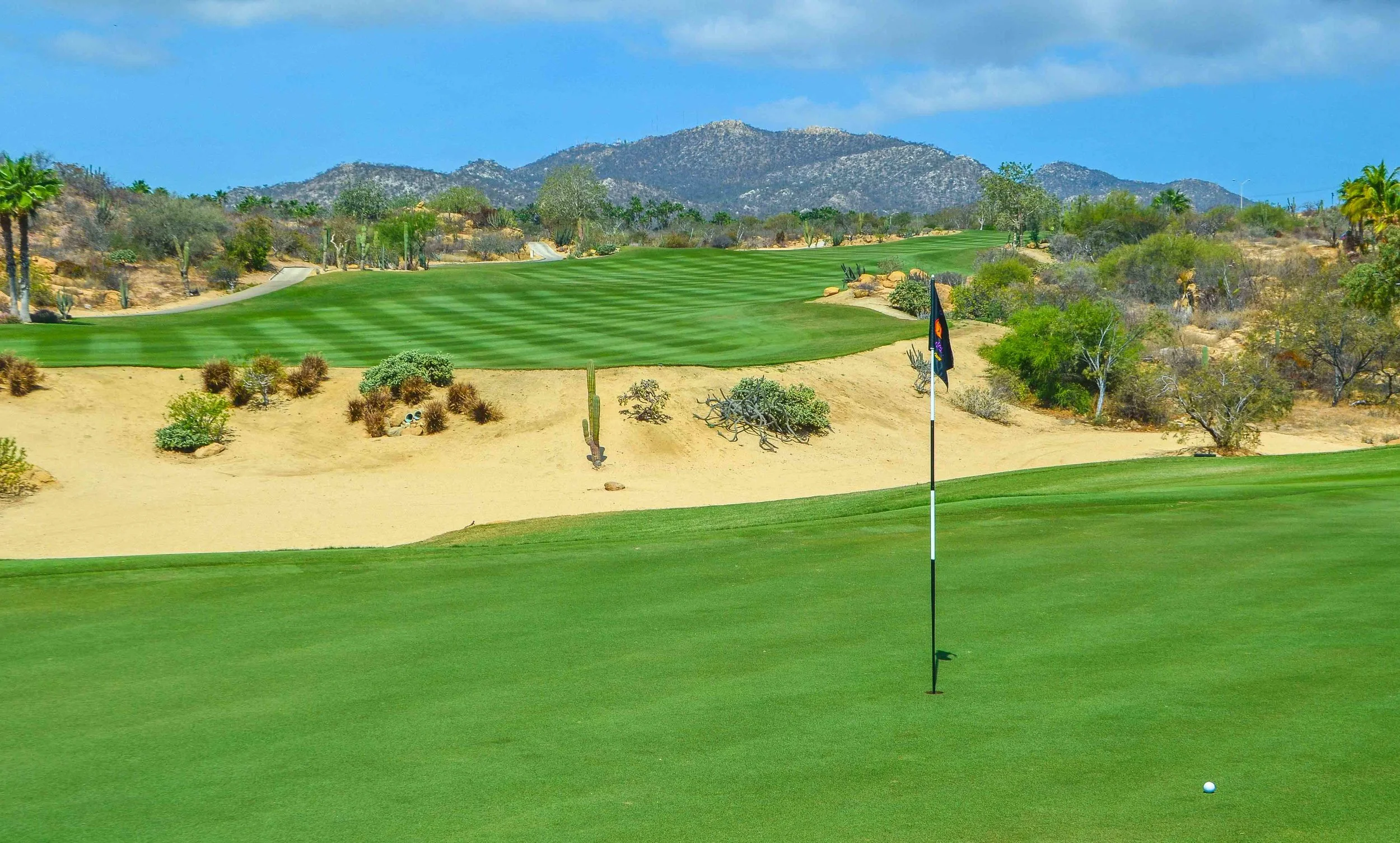 Cabo Del Sol1-4.jpg