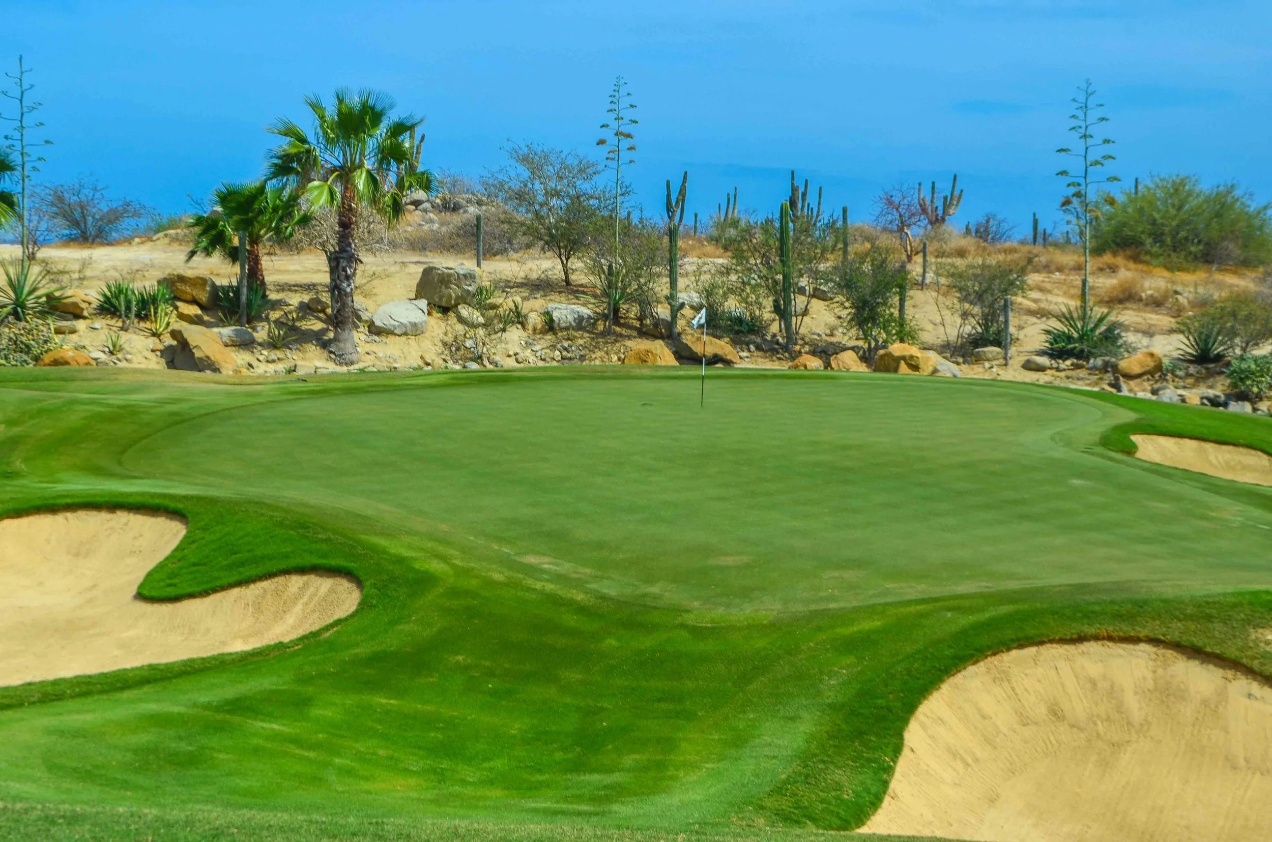 Cabo Del Sol1-53.jpg