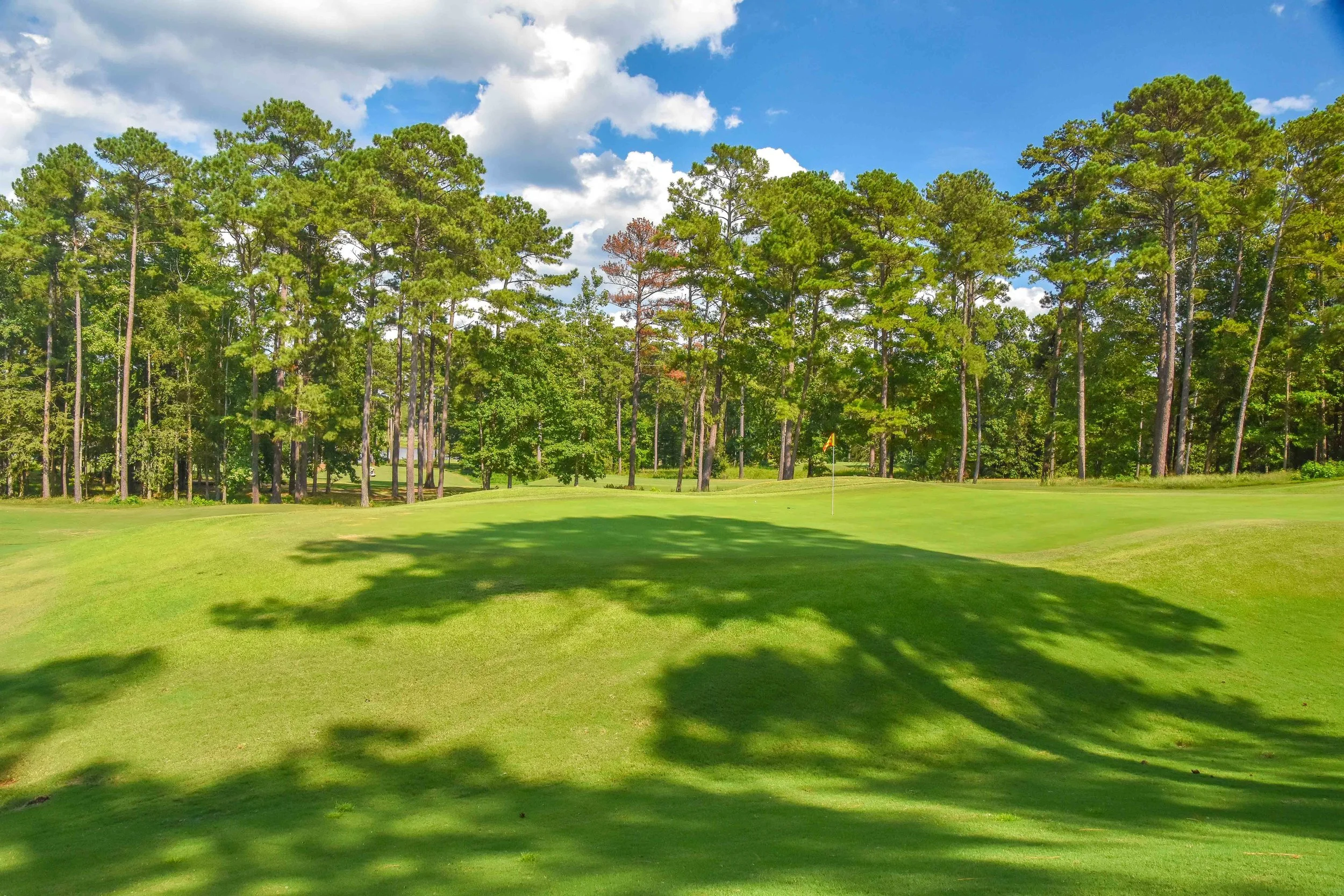 Grand National - Links Course1-52.jpg