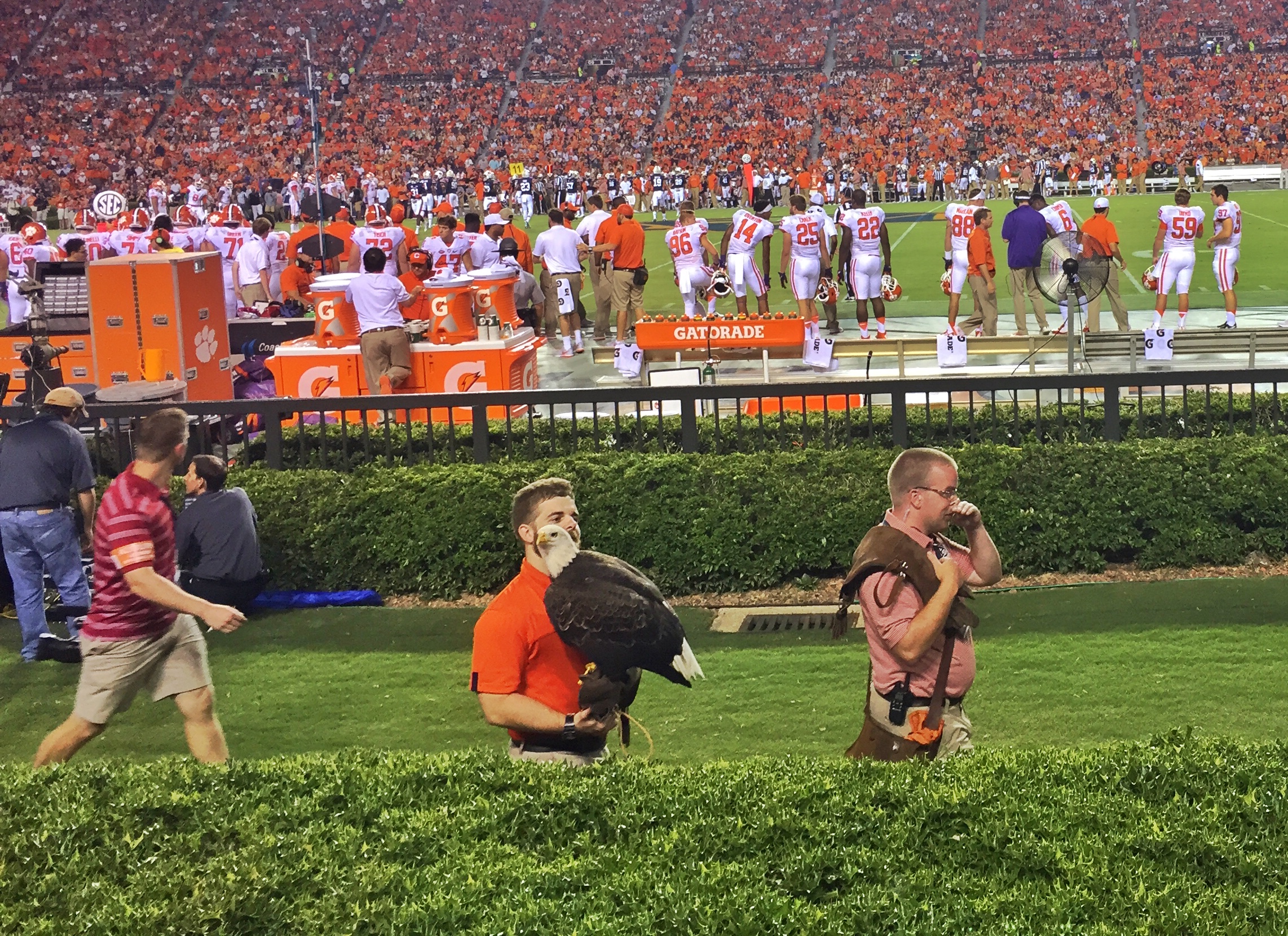 The War Eagle at Auburn circles the stadium before kickoff and lands at midfield. Here he stops by to say hi to the out-of-towners.