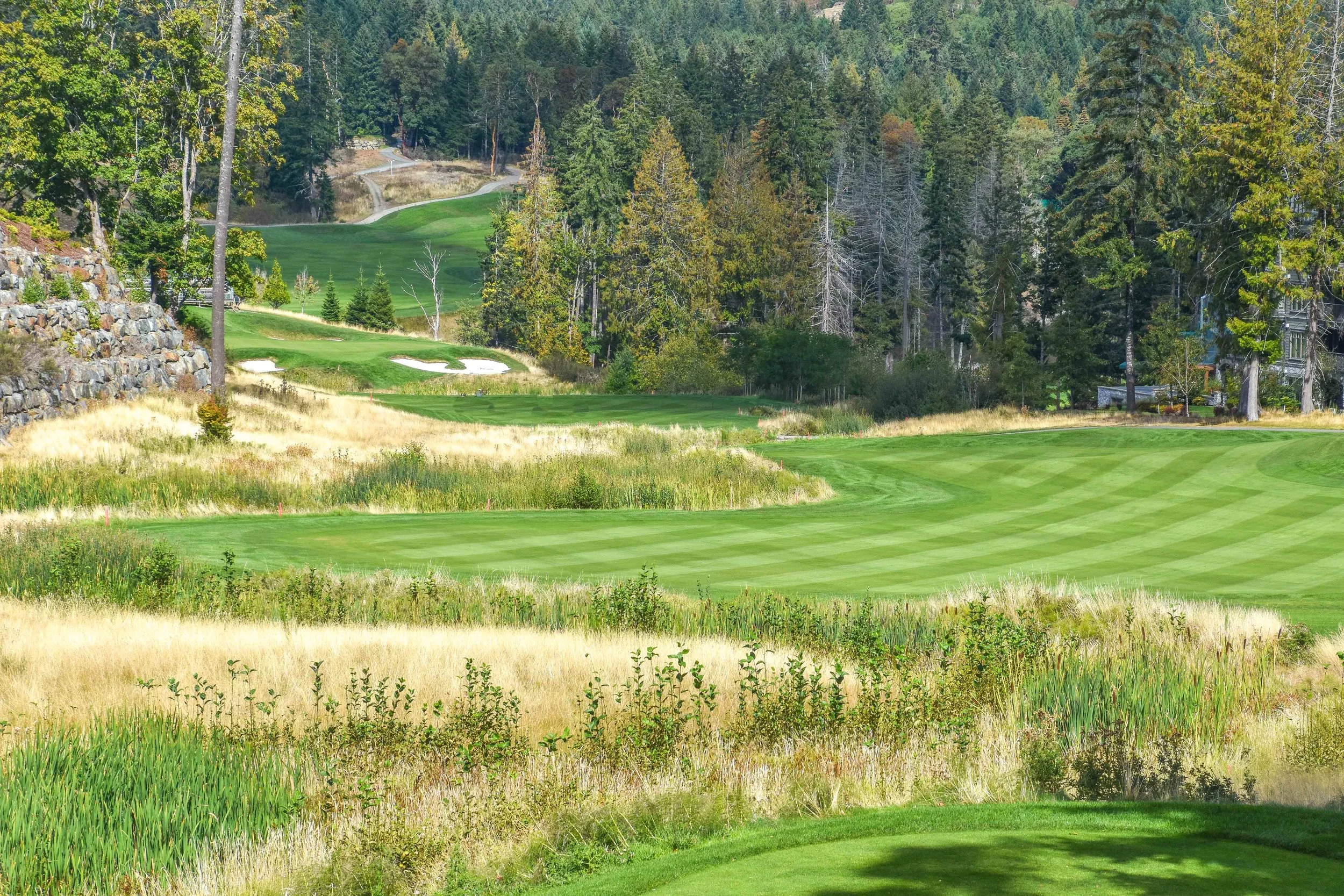 Bear Mountain Ranch1-92.jpg