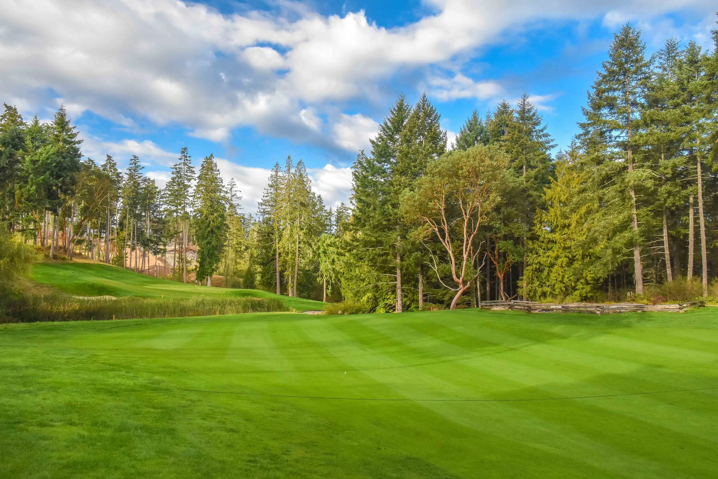 Bear Mountain Ranch1-4.jpg