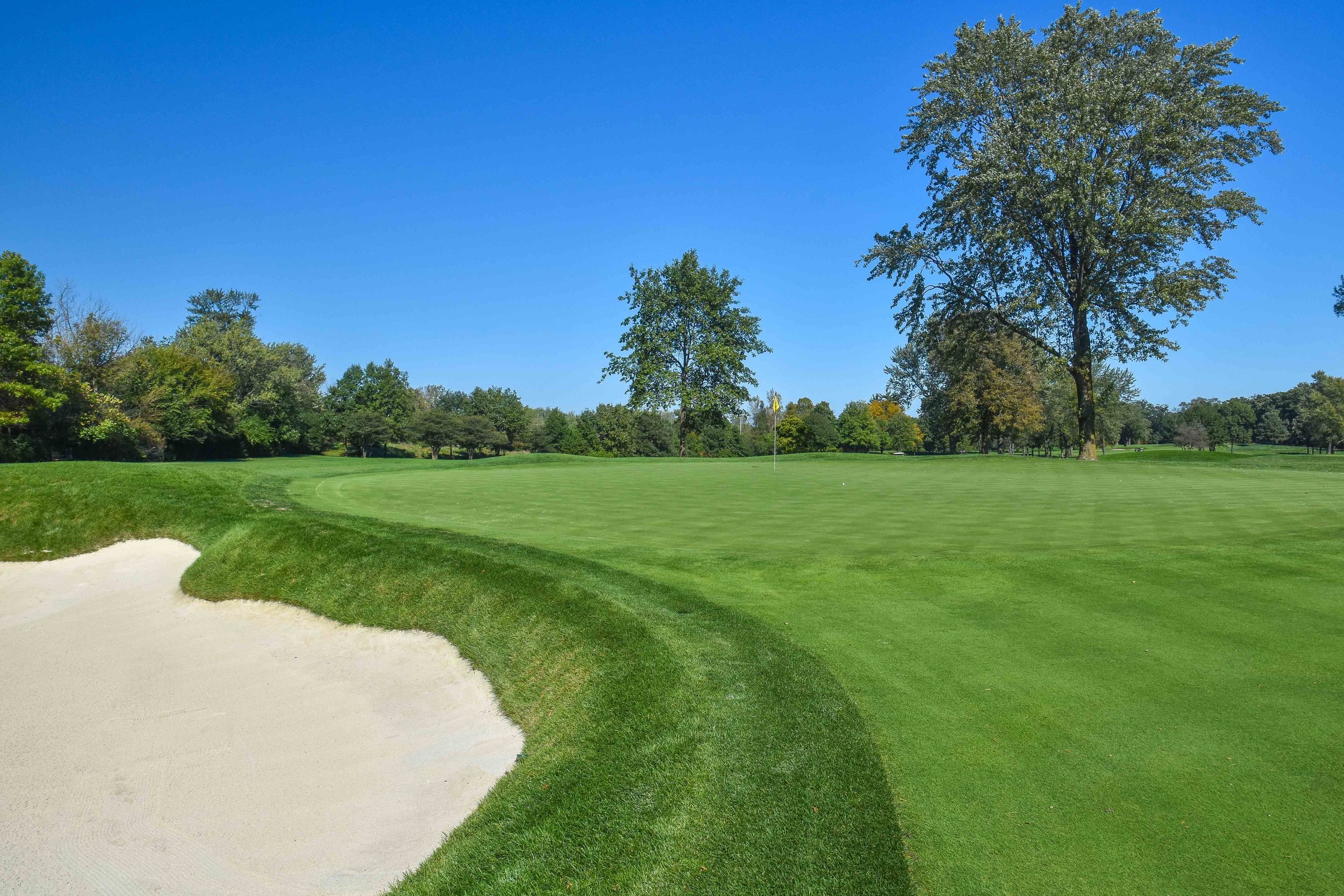 Olympia Fields - North1-5.jpg