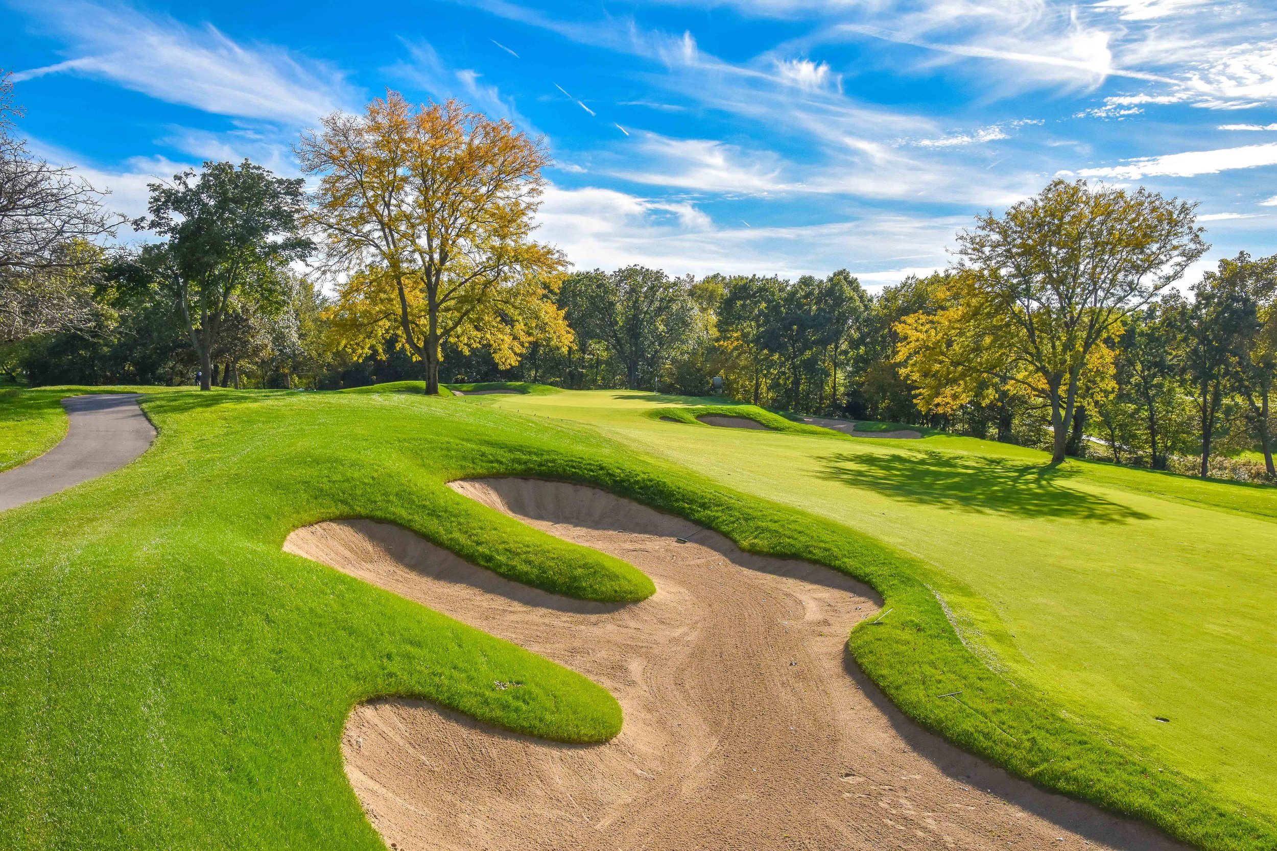 Cog Hill No. 41-117.jpg