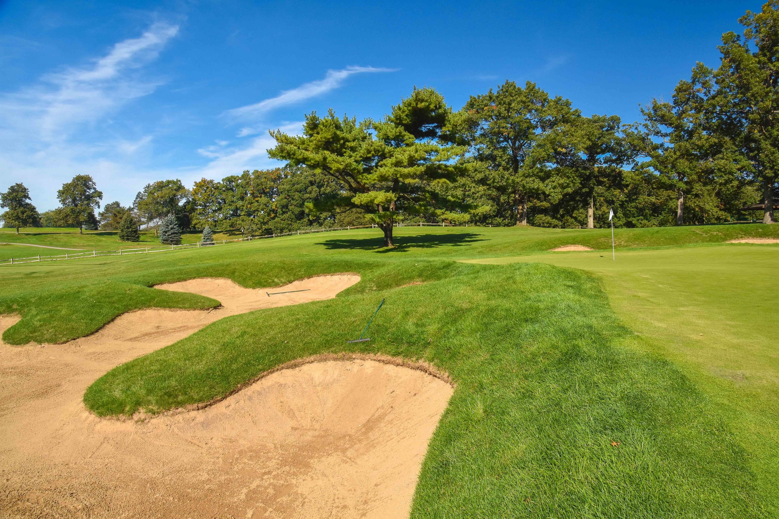 Cog Hill No. 41-19.jpg