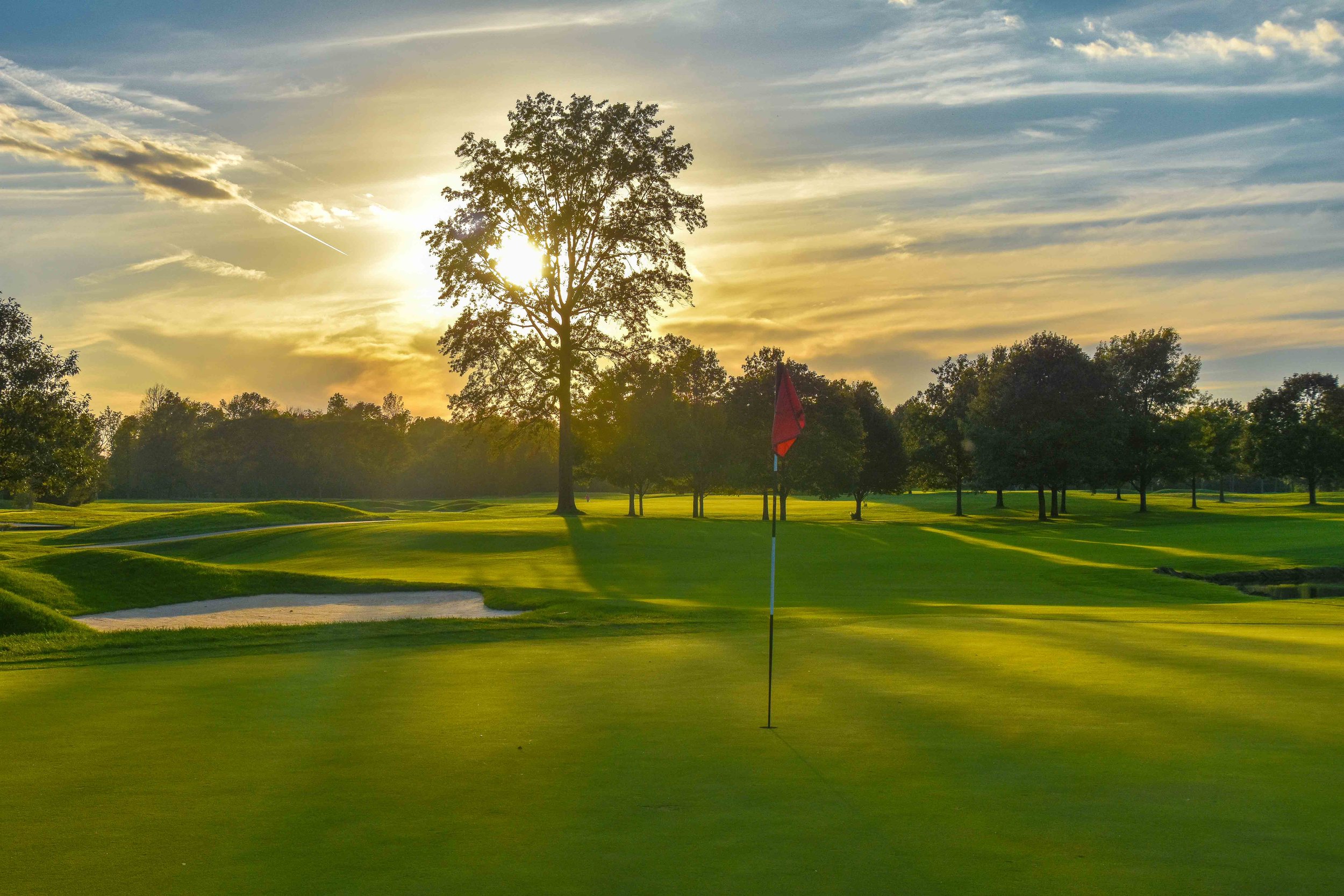 Crooked Stick1-119.jpg