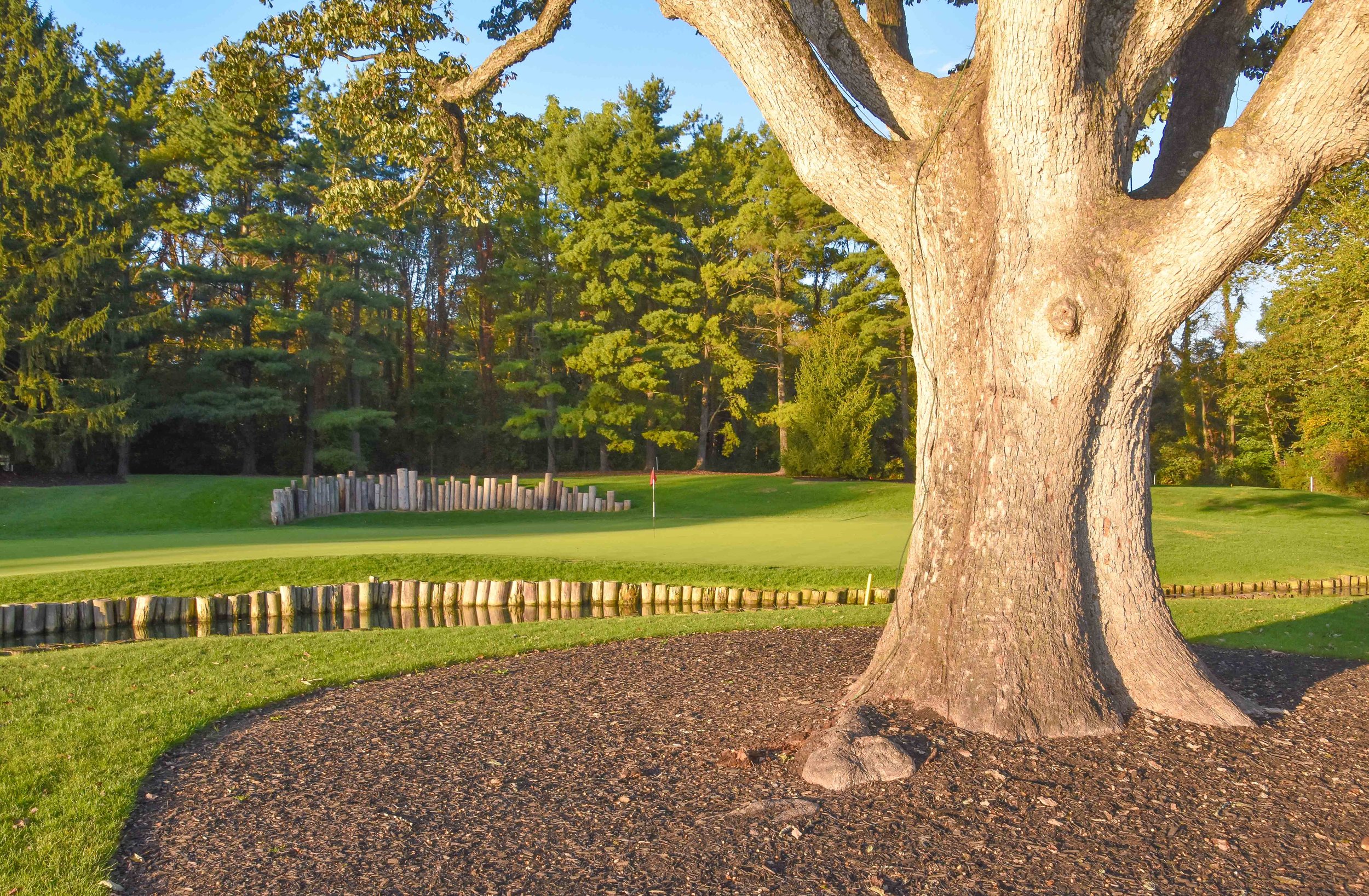 Crooked Stick1-113.jpg