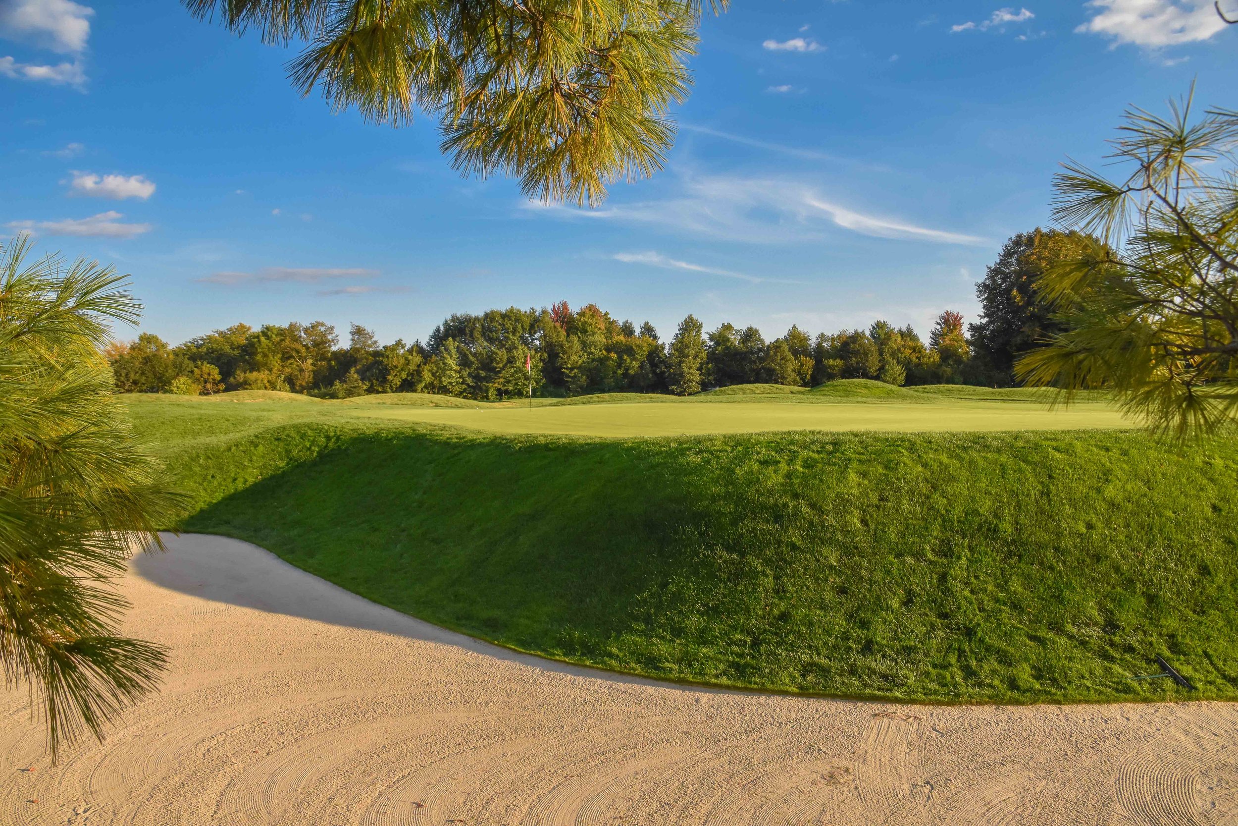Crooked Stick1-89.jpg