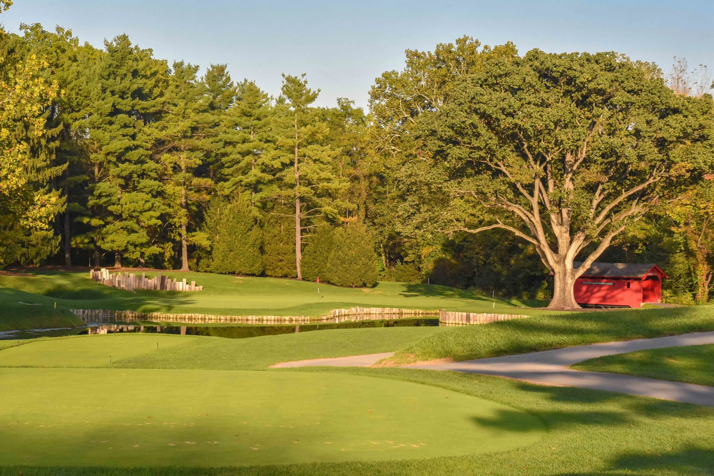 Crooked Stick1-87 (1).jpg