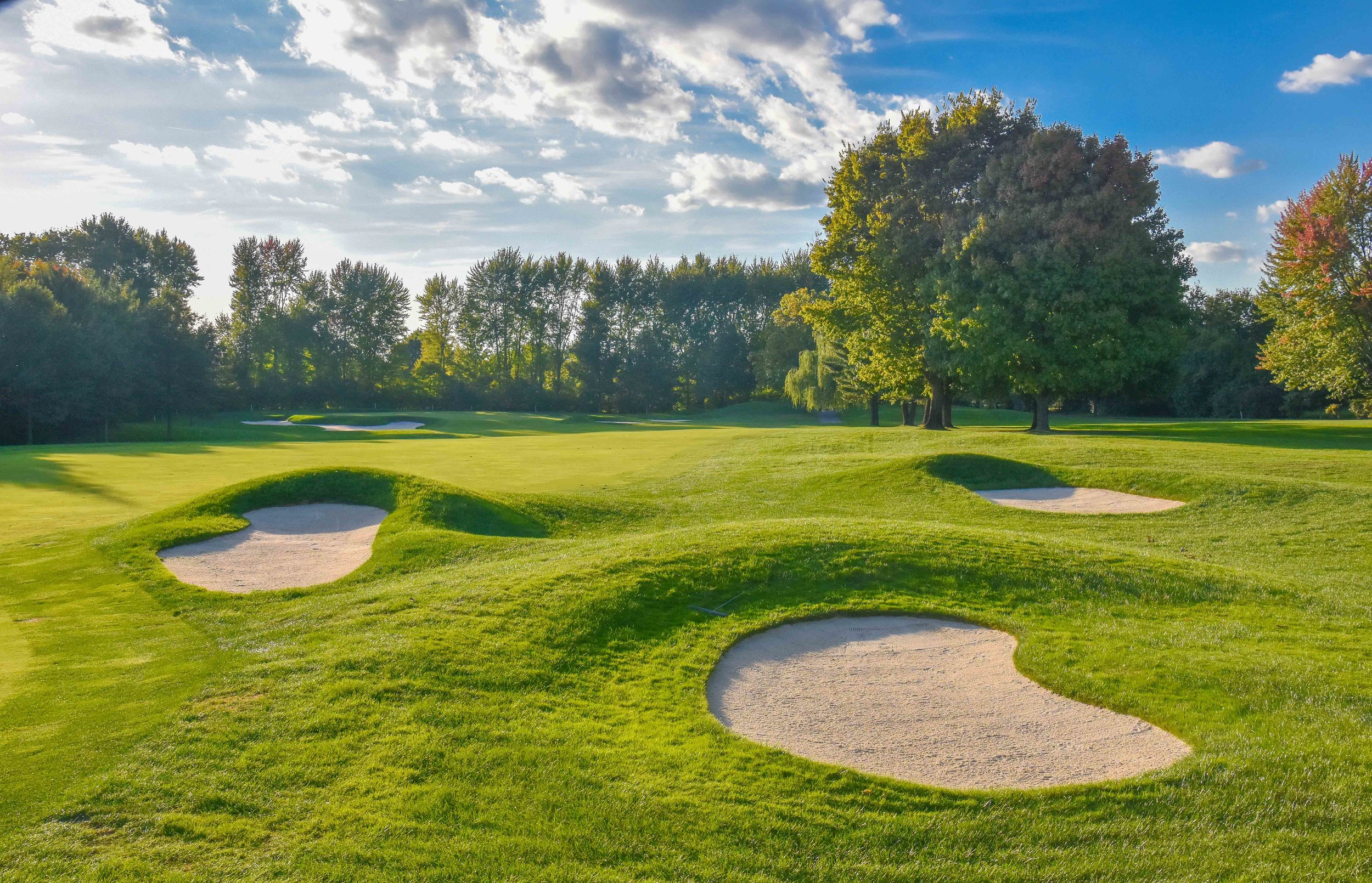 Crooked Stick1-85.jpg