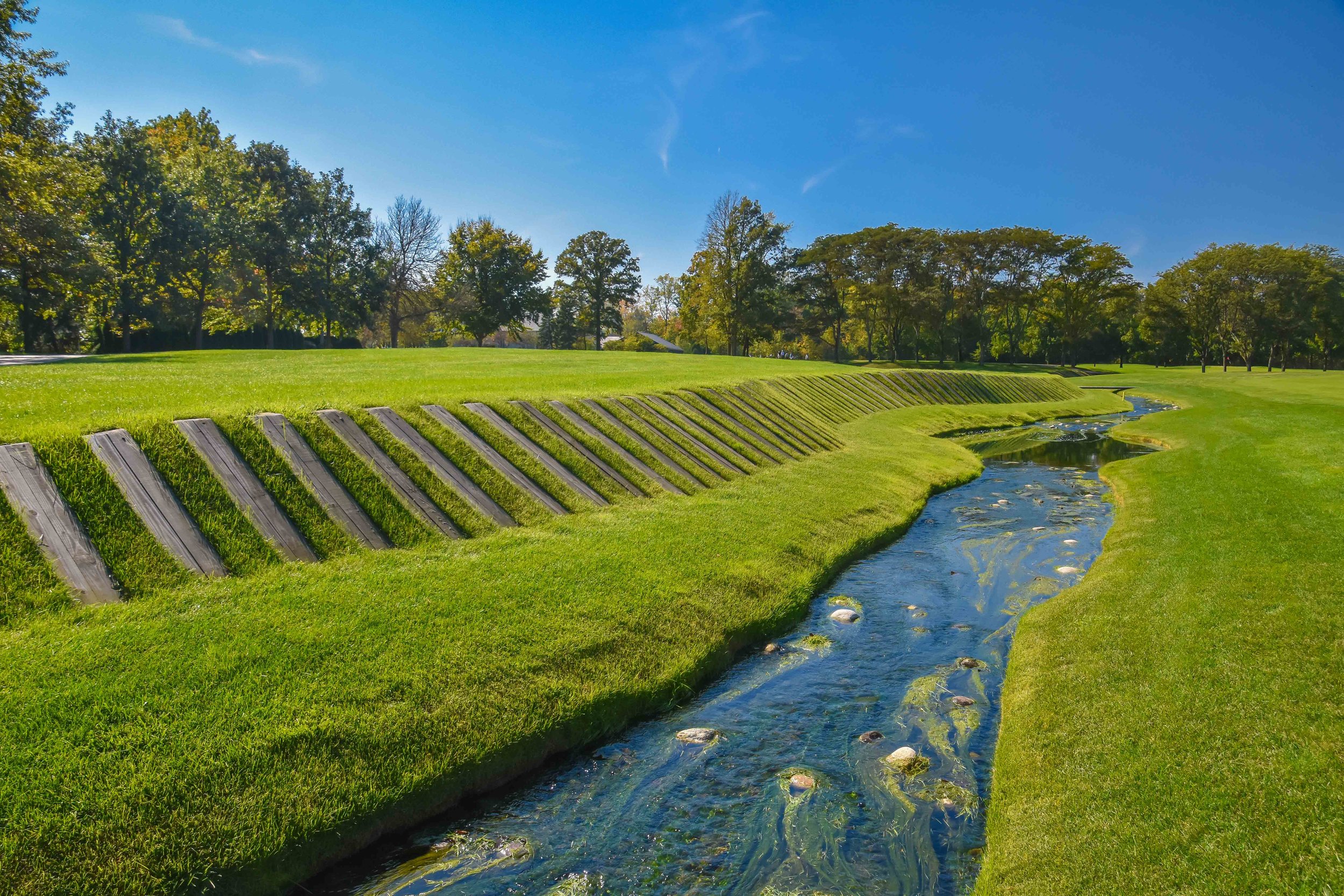 Crooked Stick1-35.jpg