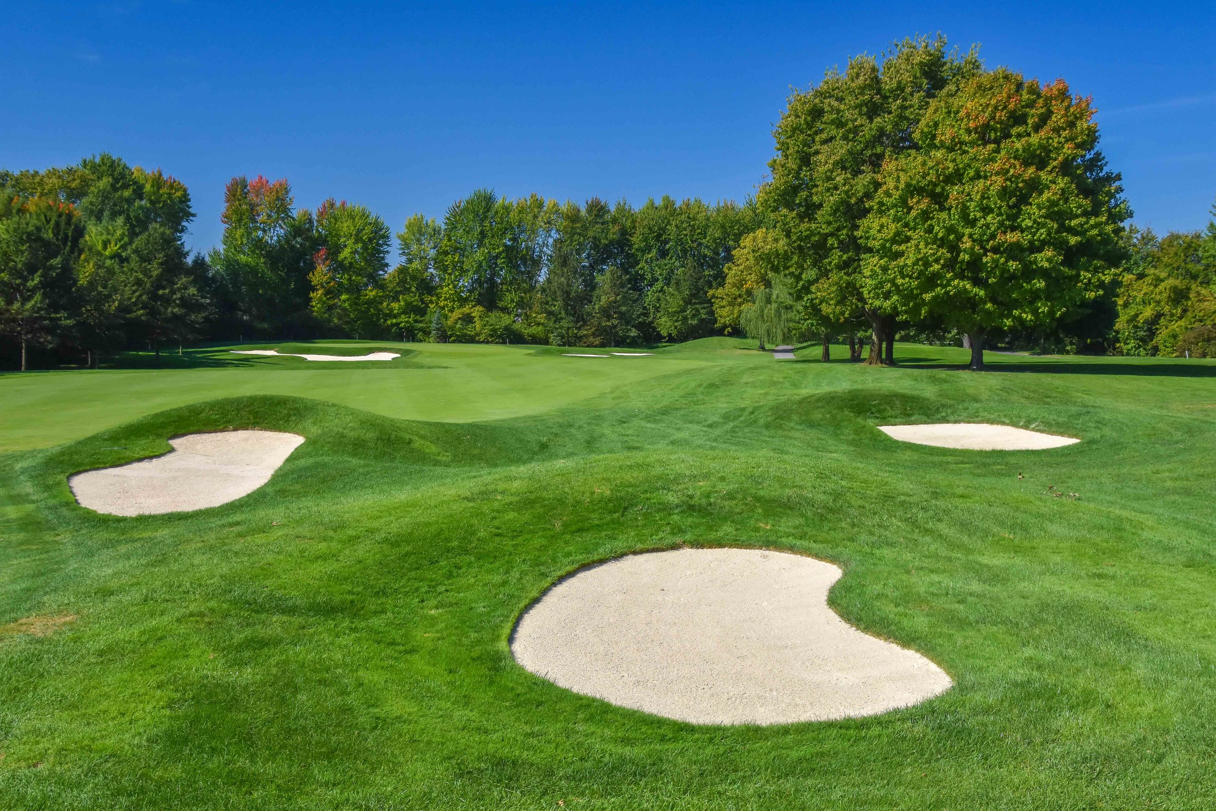 Crooked Stick1-14.jpg