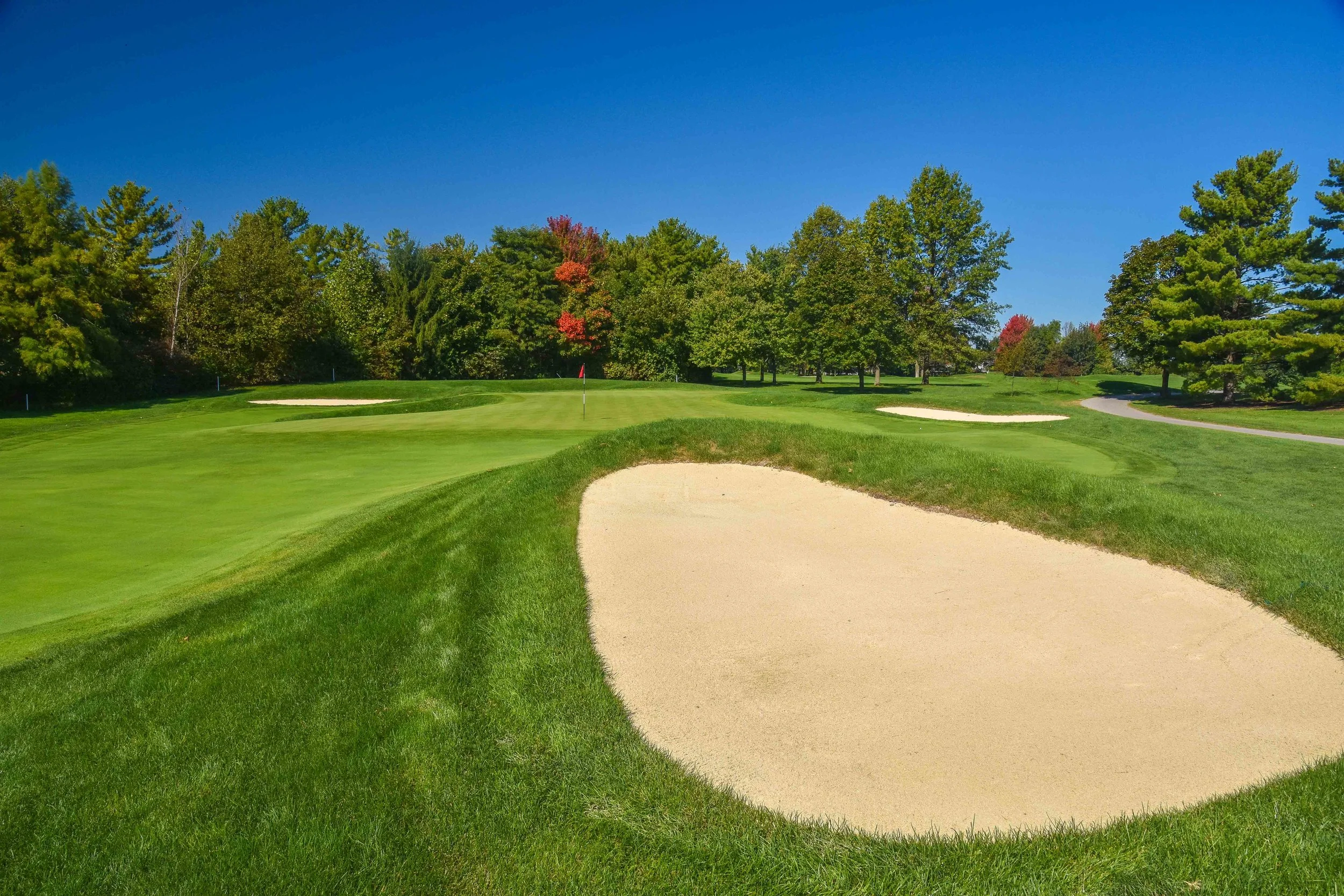 Crooked Stick1-9.jpg