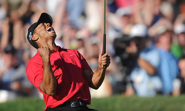 Rocco Mediate felt the sting of this scream.