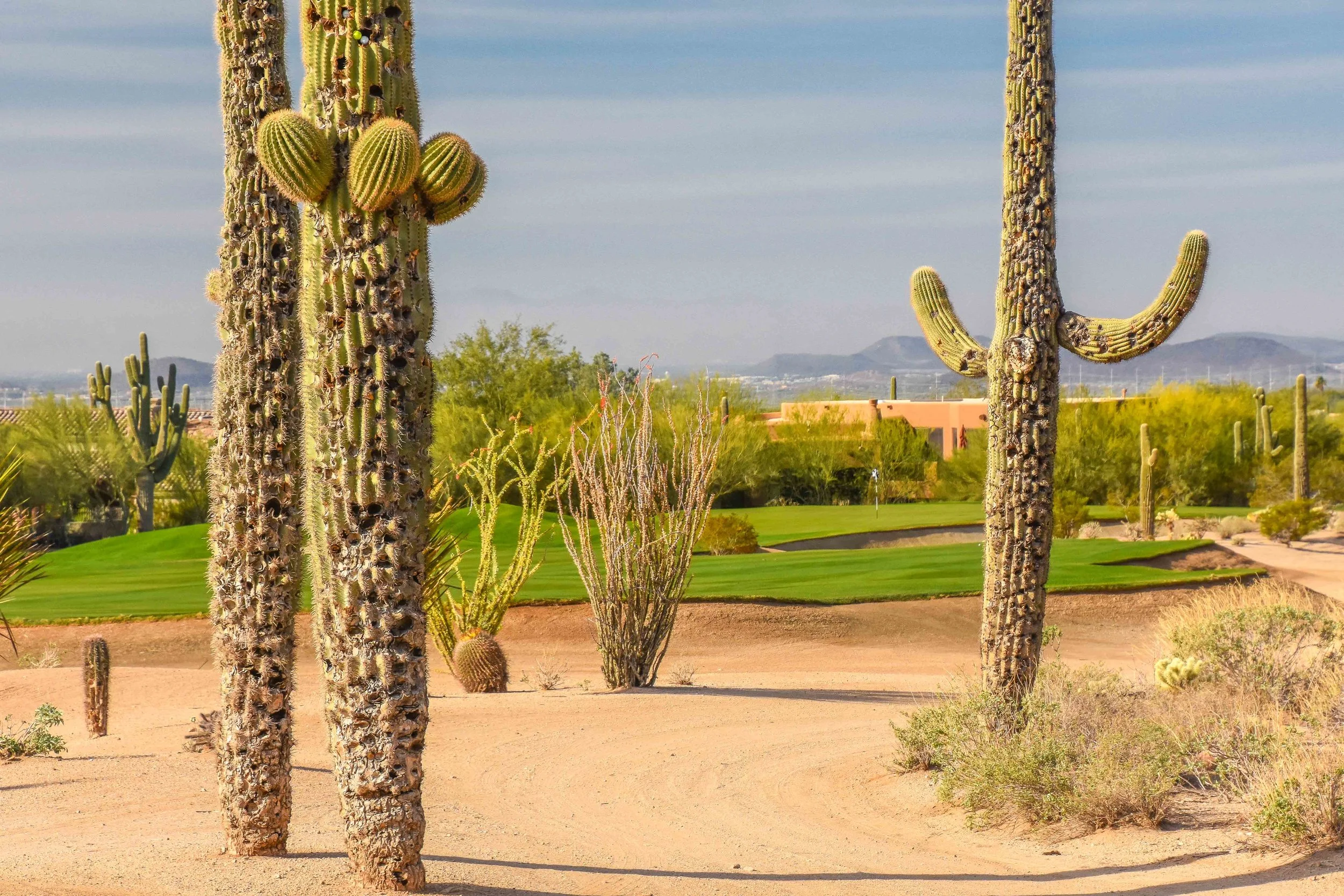 Desert Highlands1-8.jpg