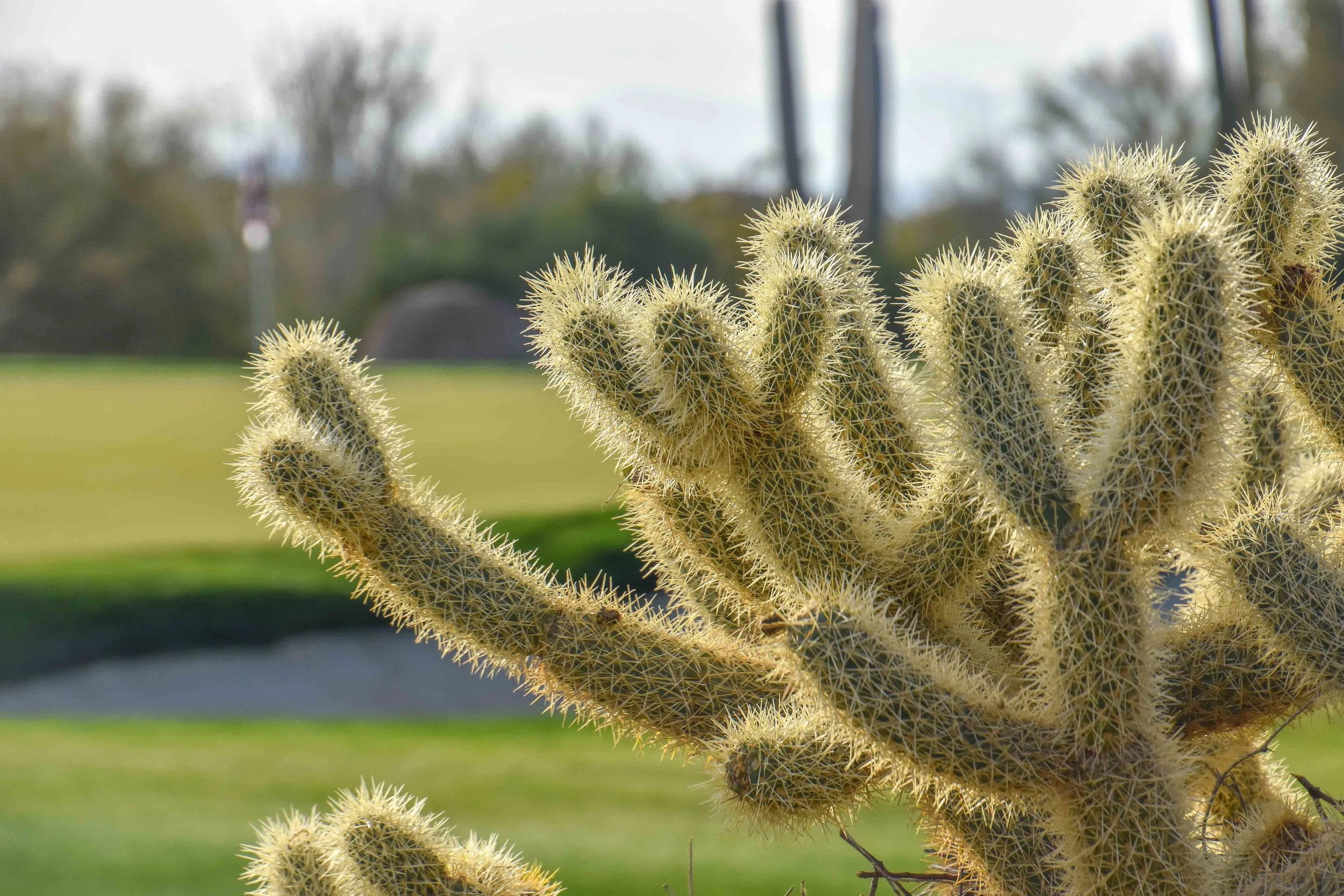 Estancia Club1-103.jpg