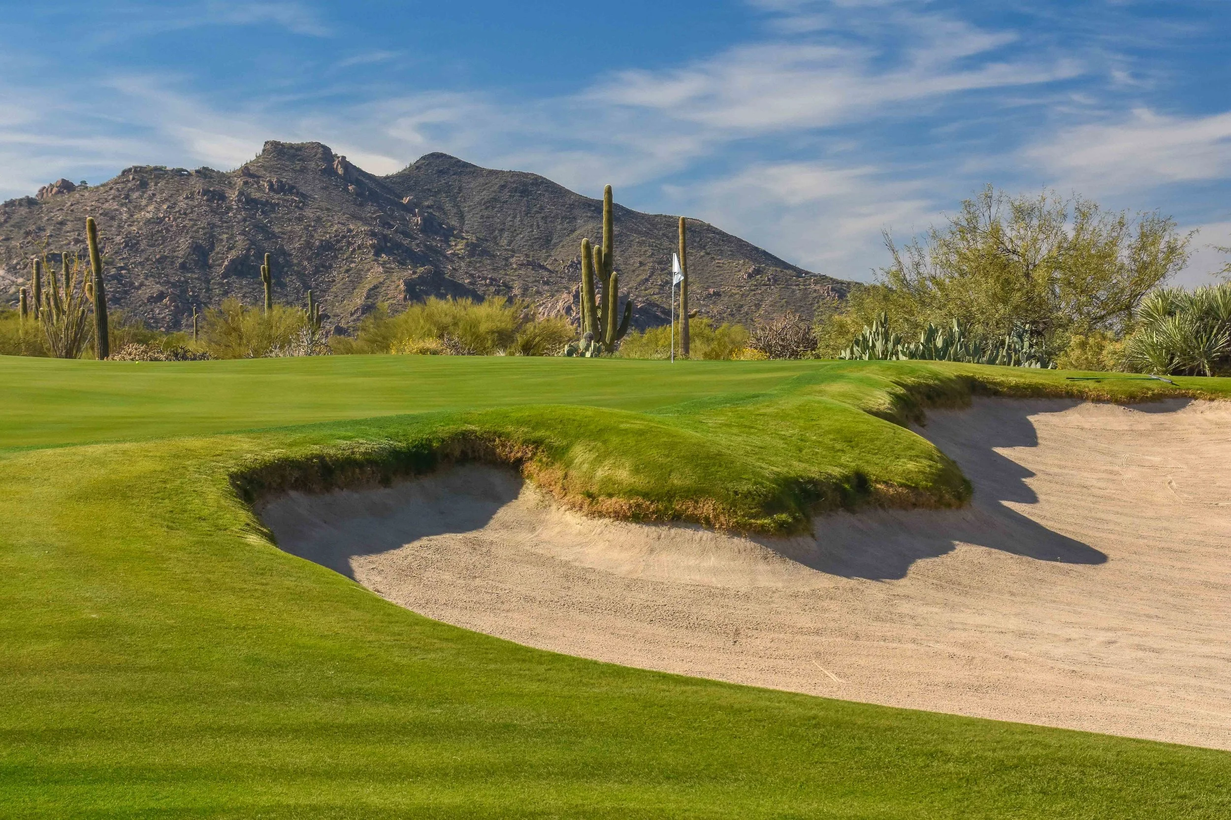 Desert Forest Golf Club1-80.jpg