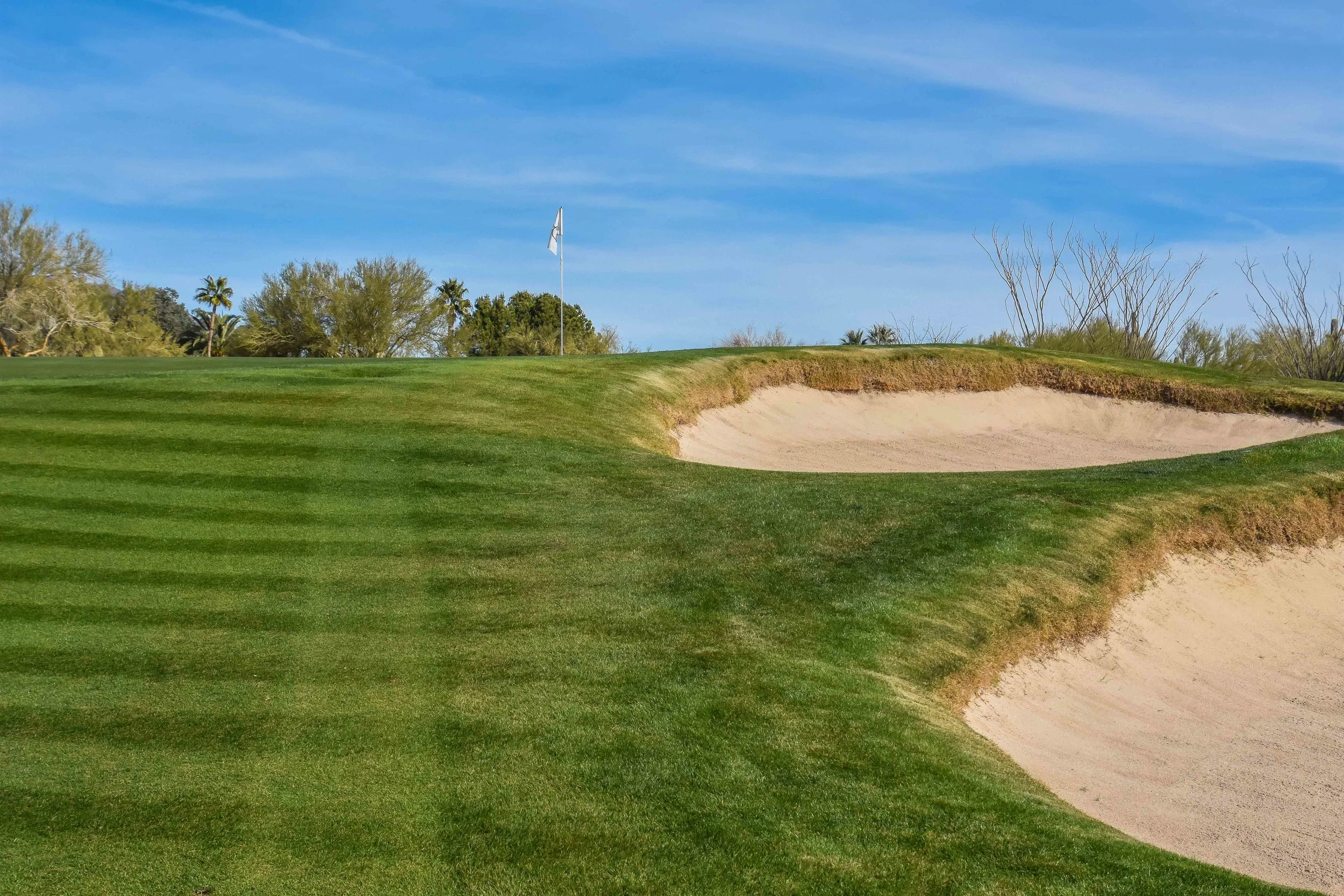Desert Forest Golf Club1-63.jpg