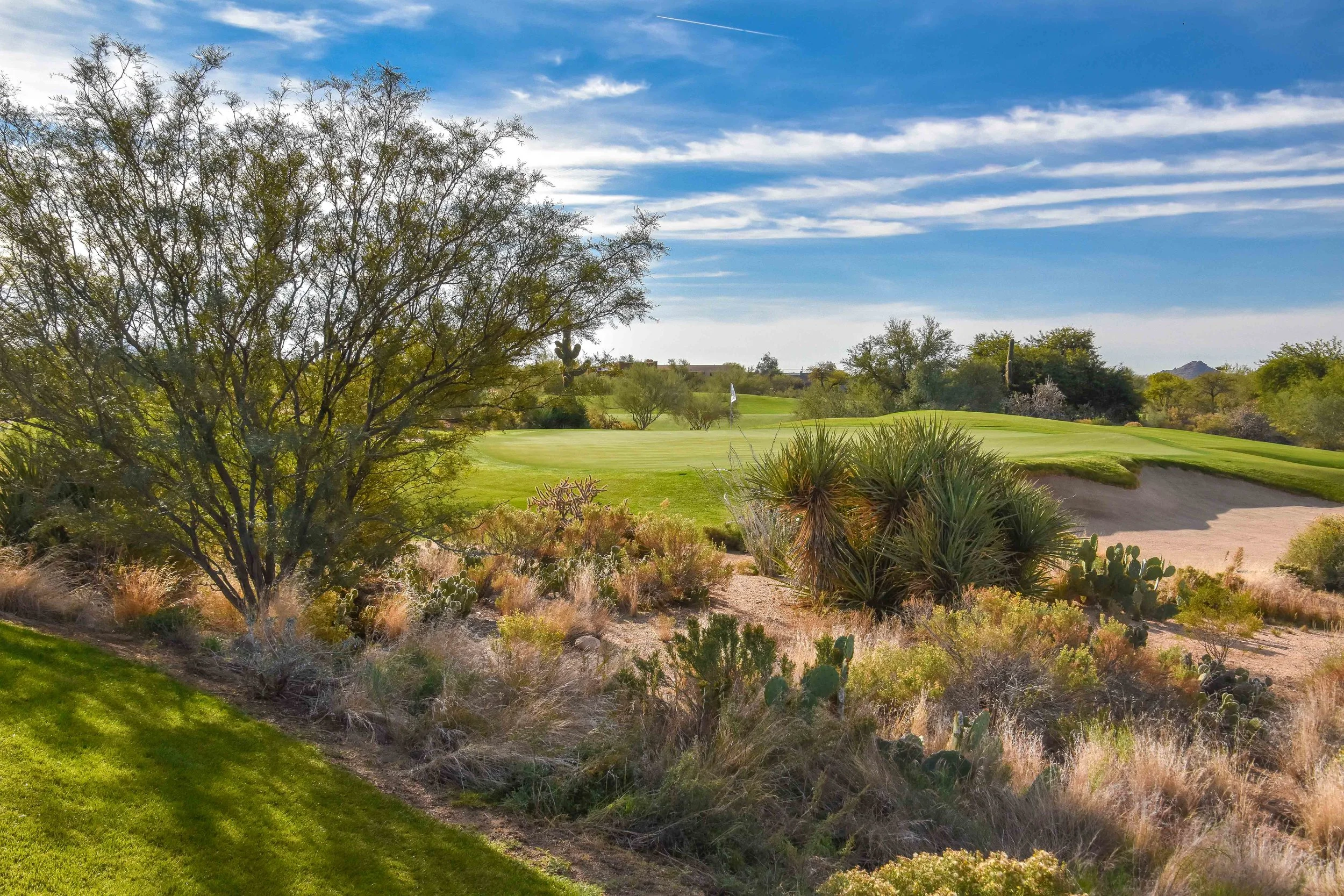 Desert Forest Golf Club1-37.jpg