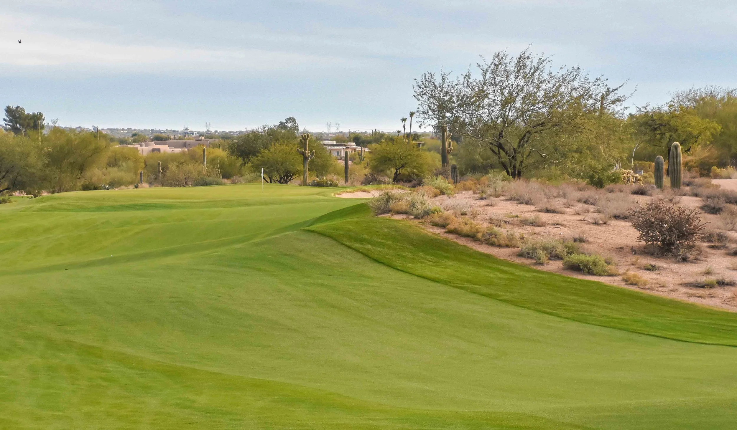 Desert Forest Golf Club1-5.jpg